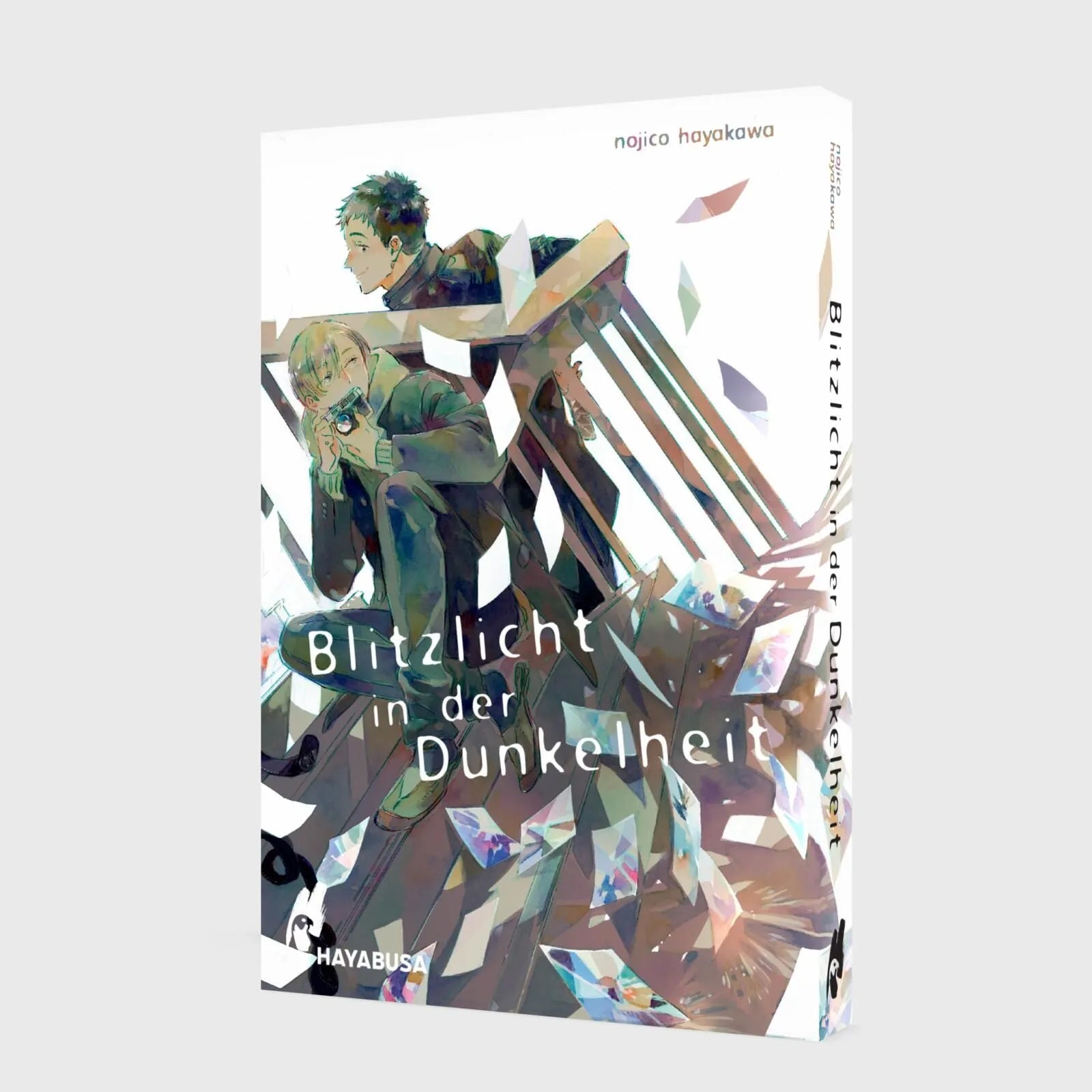 Detailansicht: Blitzlicht in der Dunkelheit (Taschenbuch)