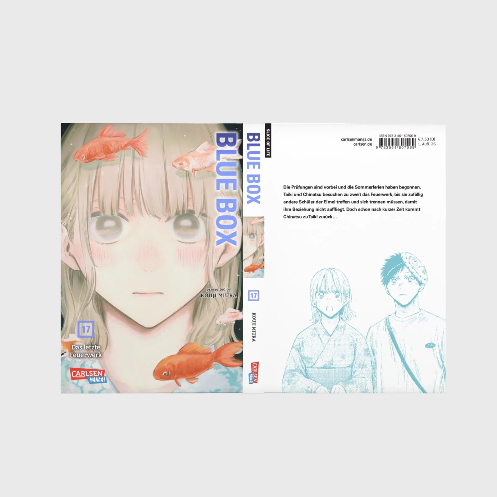 Produktansicht: Blue Box 17 (Taschenbuch)