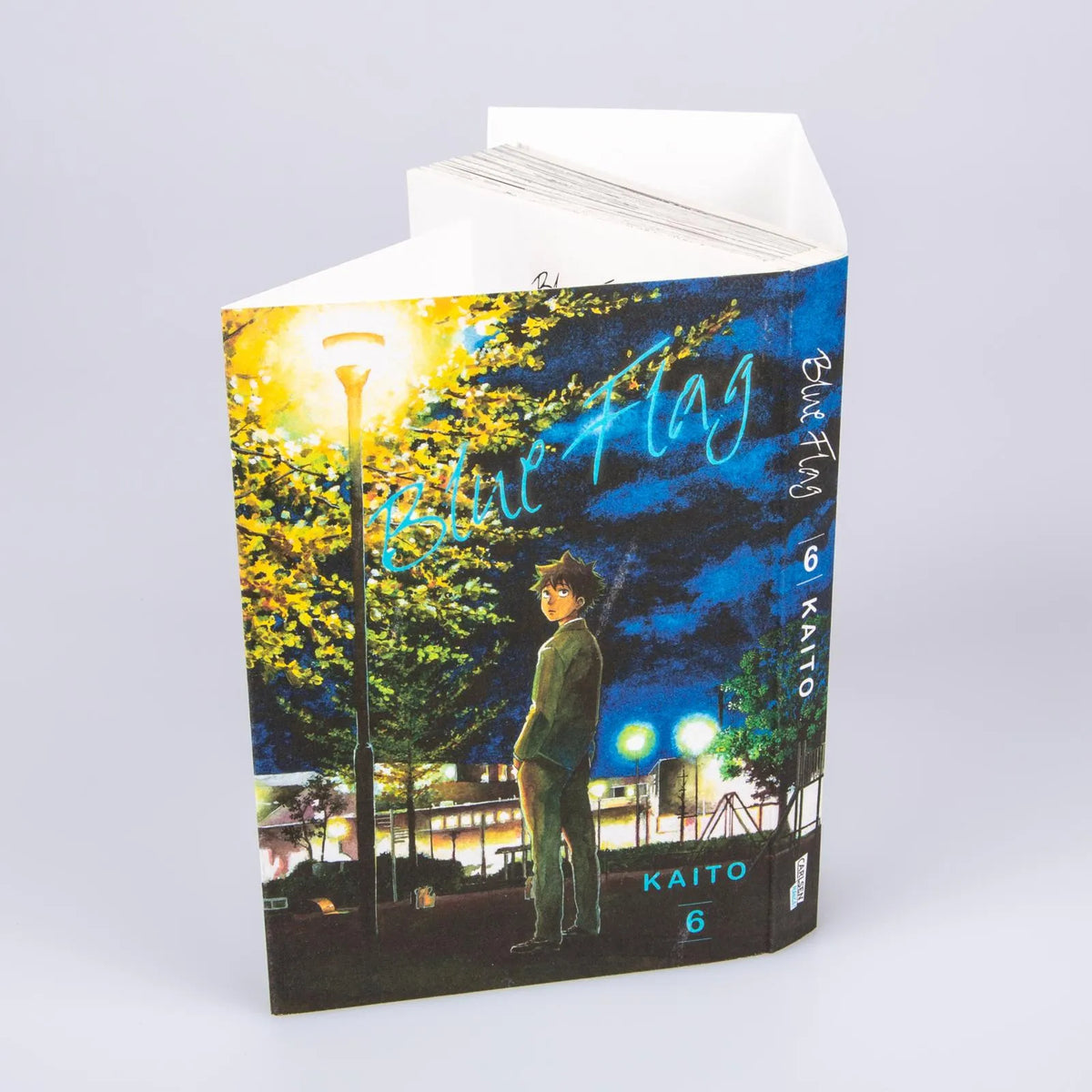 Produktansicht: Blue Flag 6 (Taschenbuch)