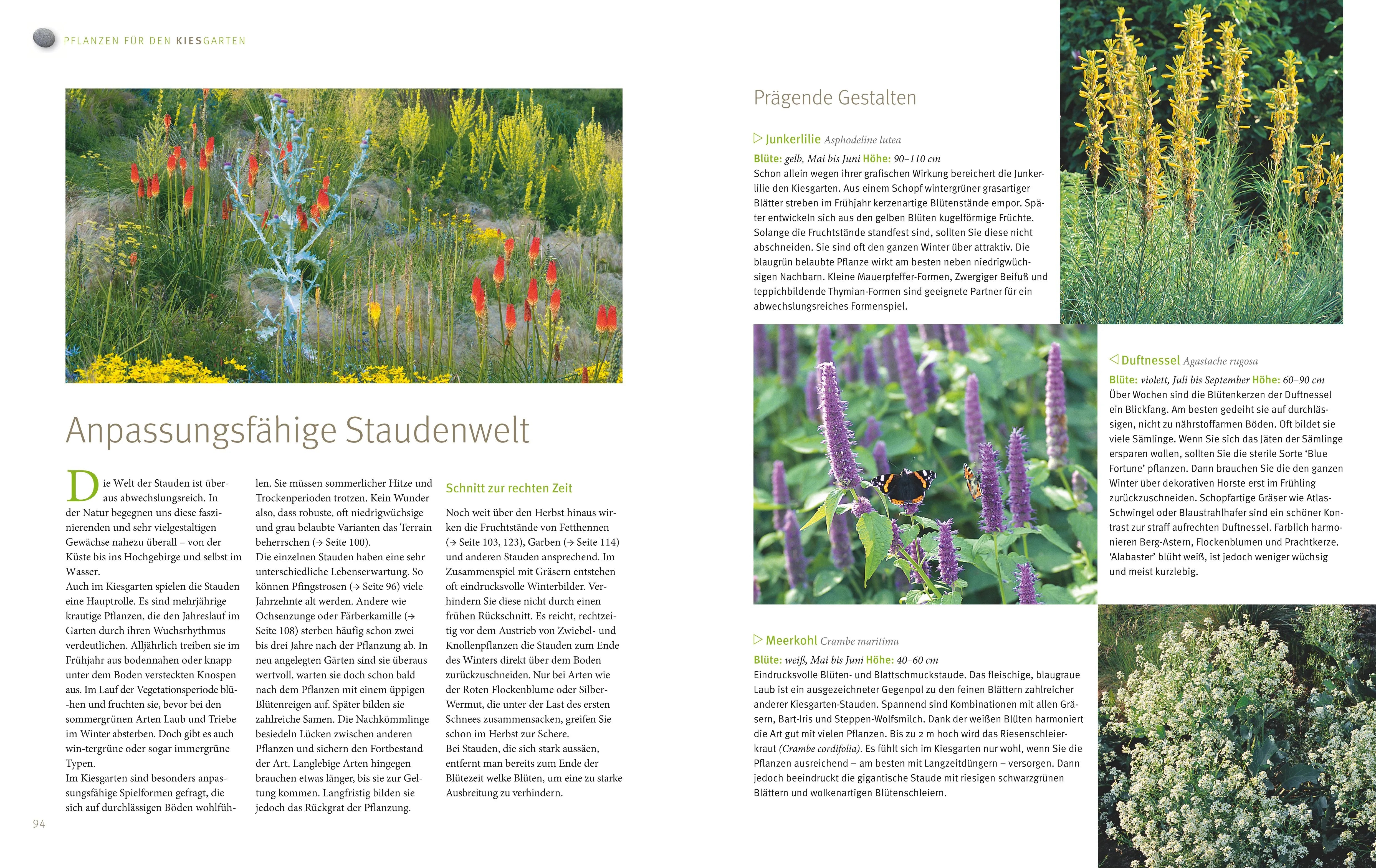 Produktansicht: Blütenpracht ohne Gießen (Gebundene Ausgabe)