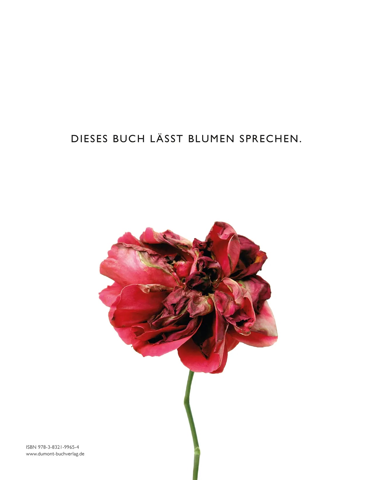 Buchrückseite von 'Blumen in der Kunst' mit Klappentext - Gebundene Ausgabe