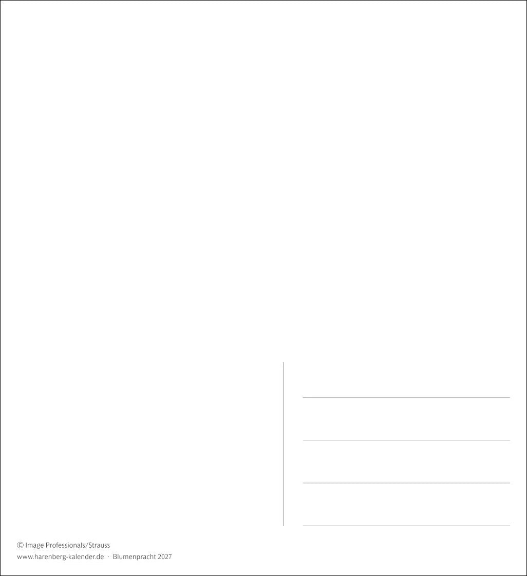 Blumenpracht Postkartenkalender 2027 - Wochenkalender mit 53 Postkarten – Ansicht