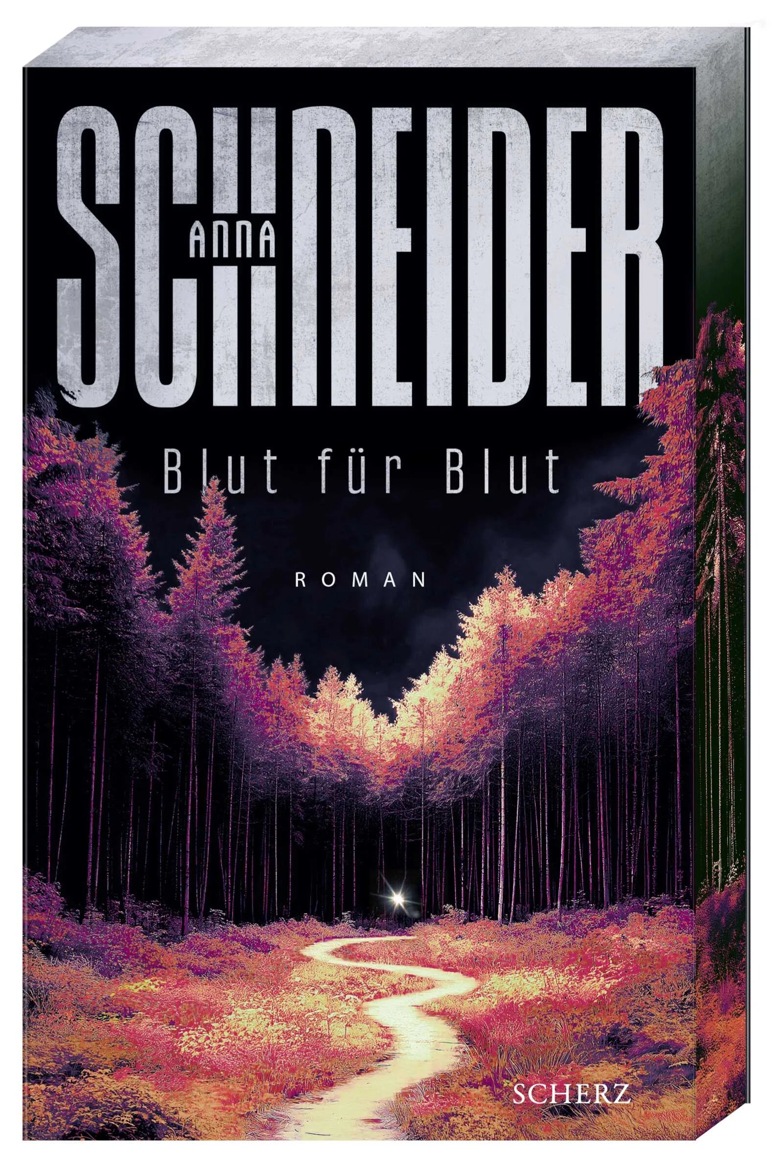 Cover: Blut für Blut (Paperback) von Anna Schneider
