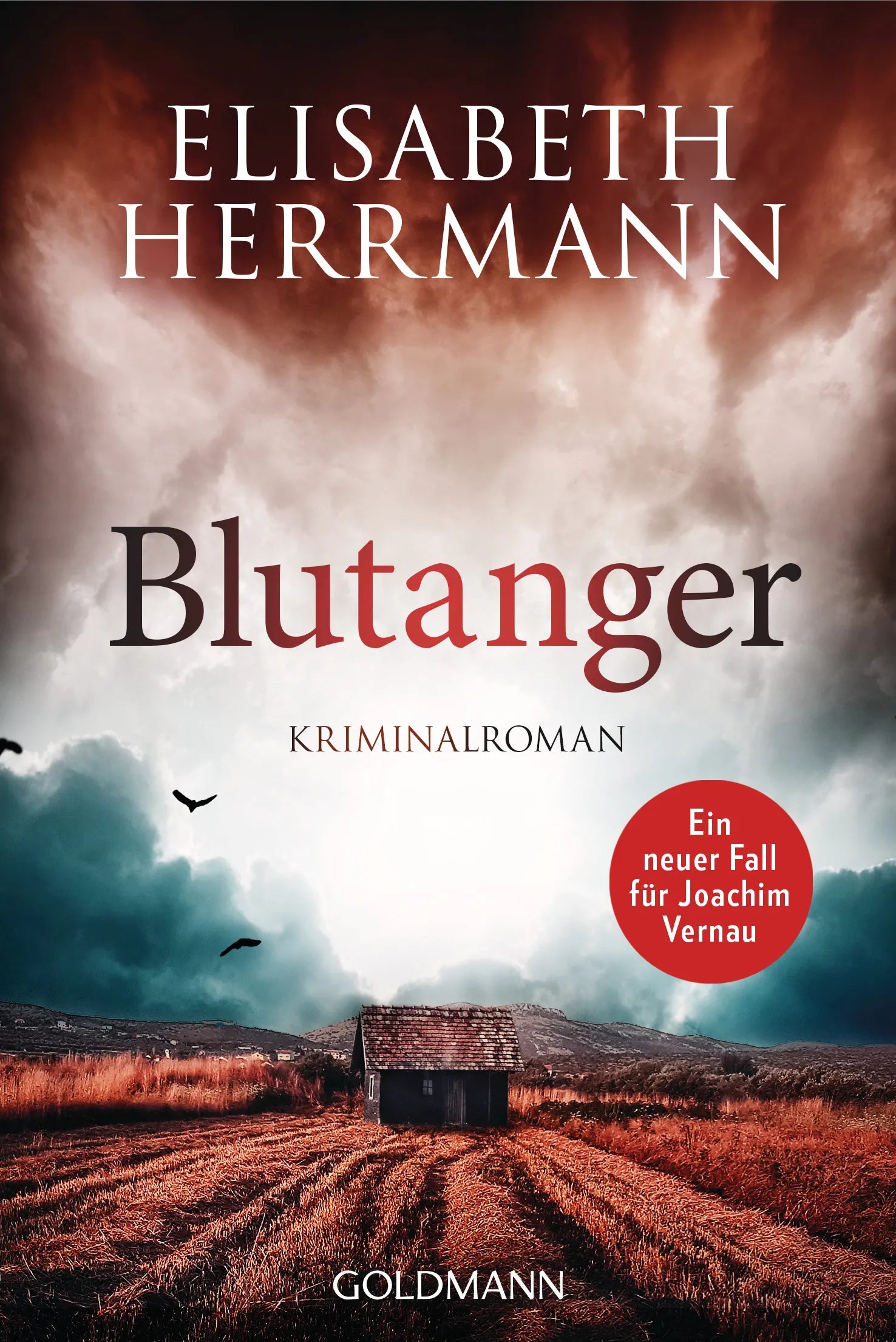 Cover: Blutanger (E-Book) von Elisabeth Herrmann