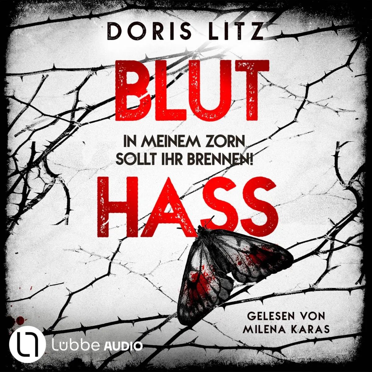 Cover: Bluthass - In meinem Zorn sollt ihr brennen! (Hörbuch Download) von Doris Litz