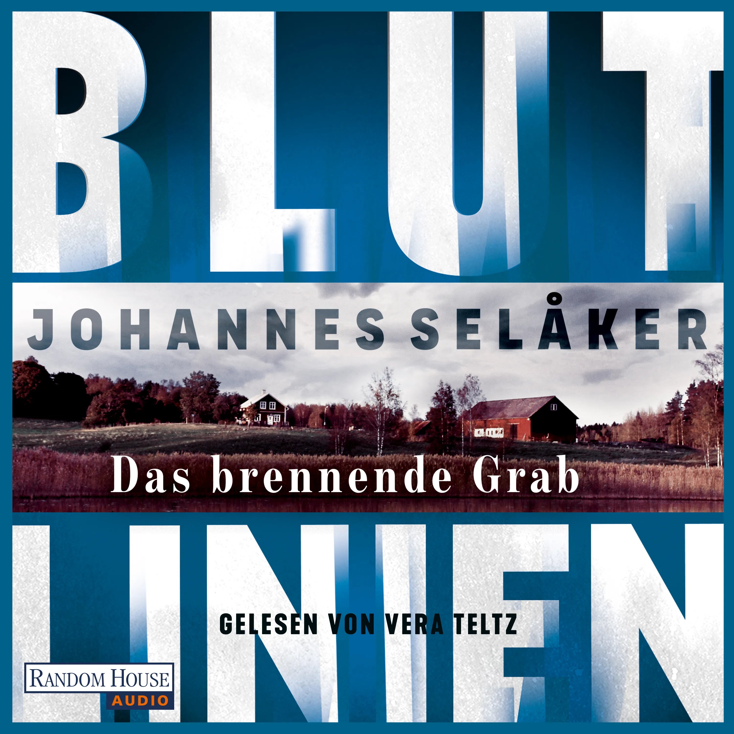 Cover: Blutlinien - Das brennende Grab (Hörbuch Download) von Johannes Selåker