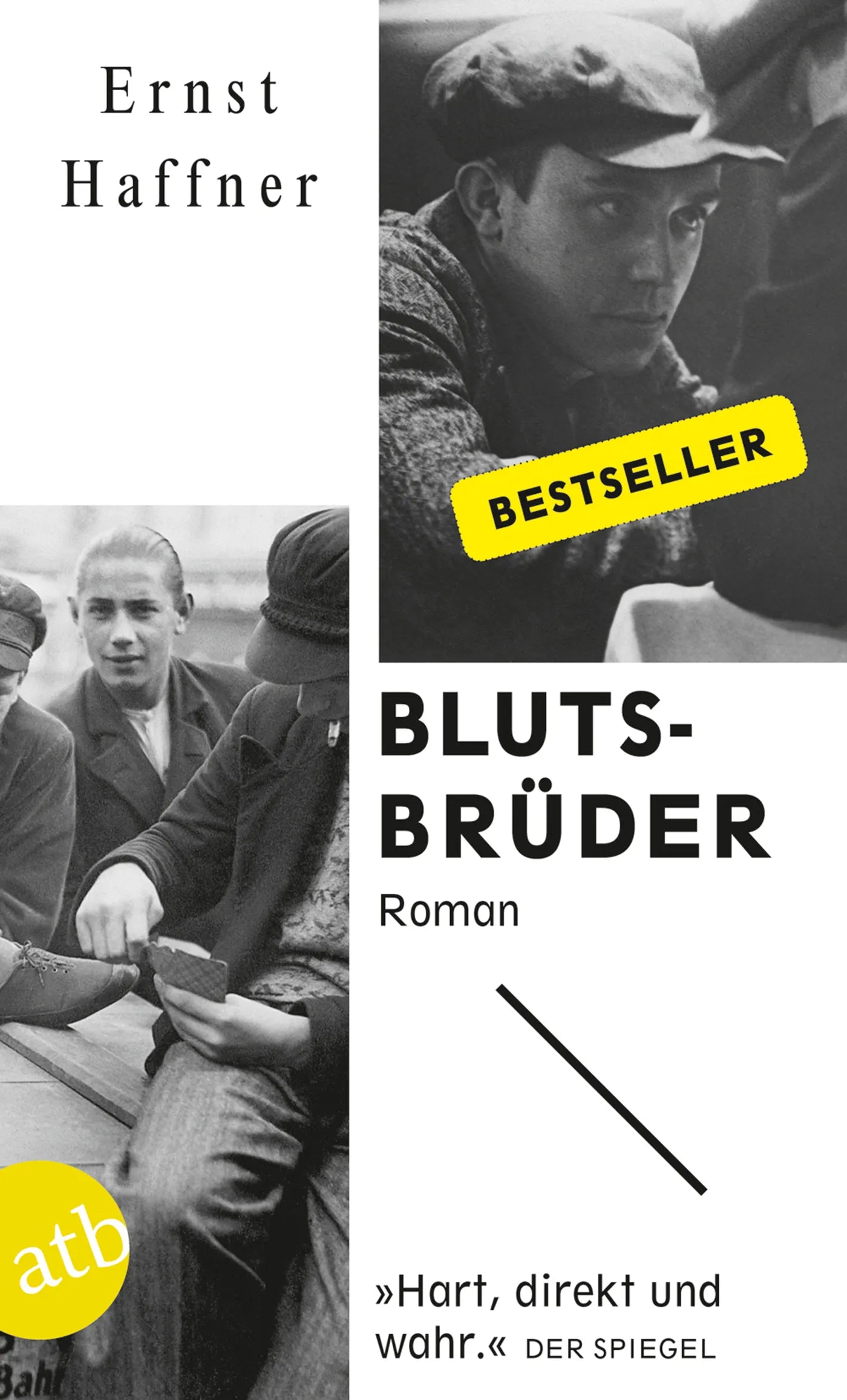 Buchcover von 'Blutsbrüder' - Taschenbuch von Ernst Haffner