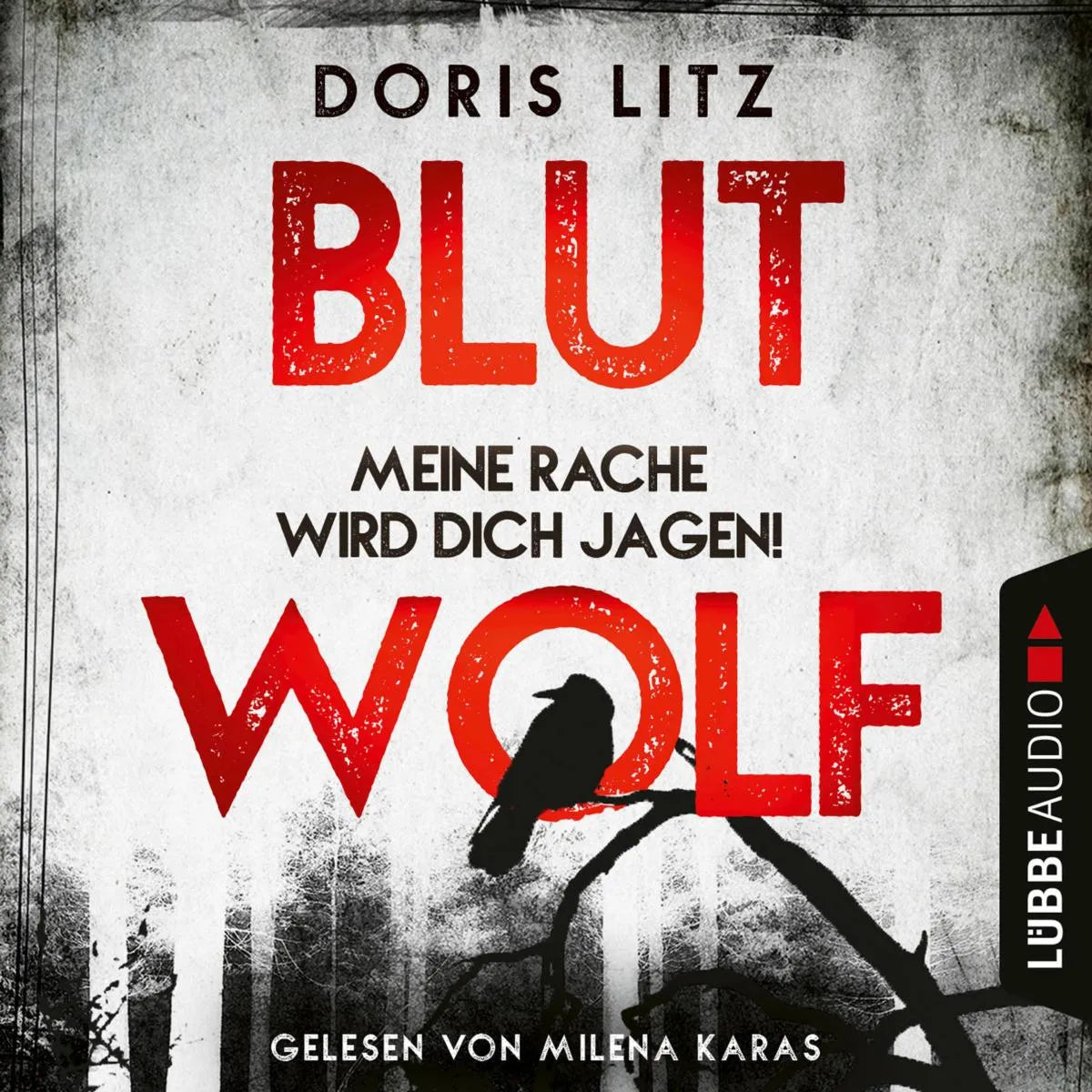Cover: Blutwolf - Meine Rache wird dich jagen! (Hörbuch Download) von Doris Litz