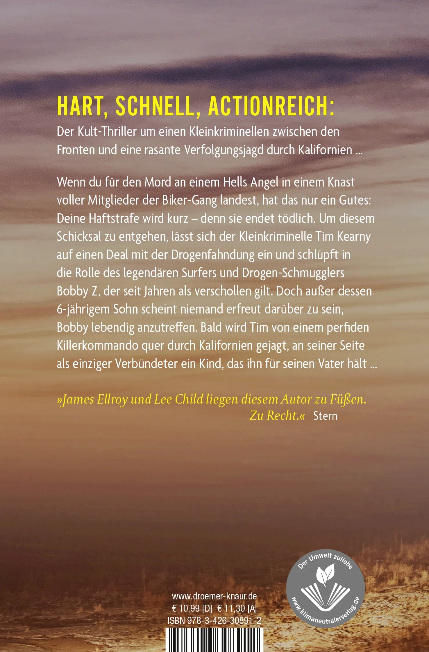 Buchrückseite von 'Bobby Z' mit Klappentext - Taschenbuch