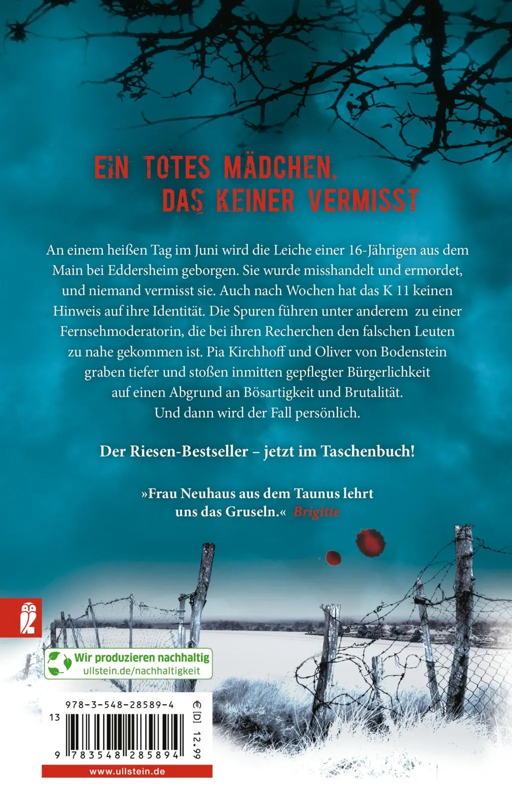 Buchrückseite von 'Böser Wolf' mit Klappentext - Taschenbuch