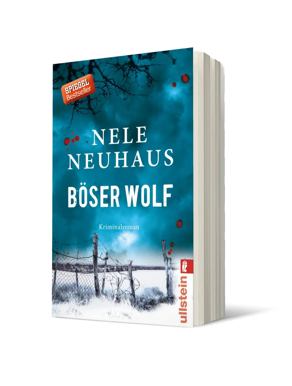 Produktansicht: Böser Wolf (Taschenbuch)
