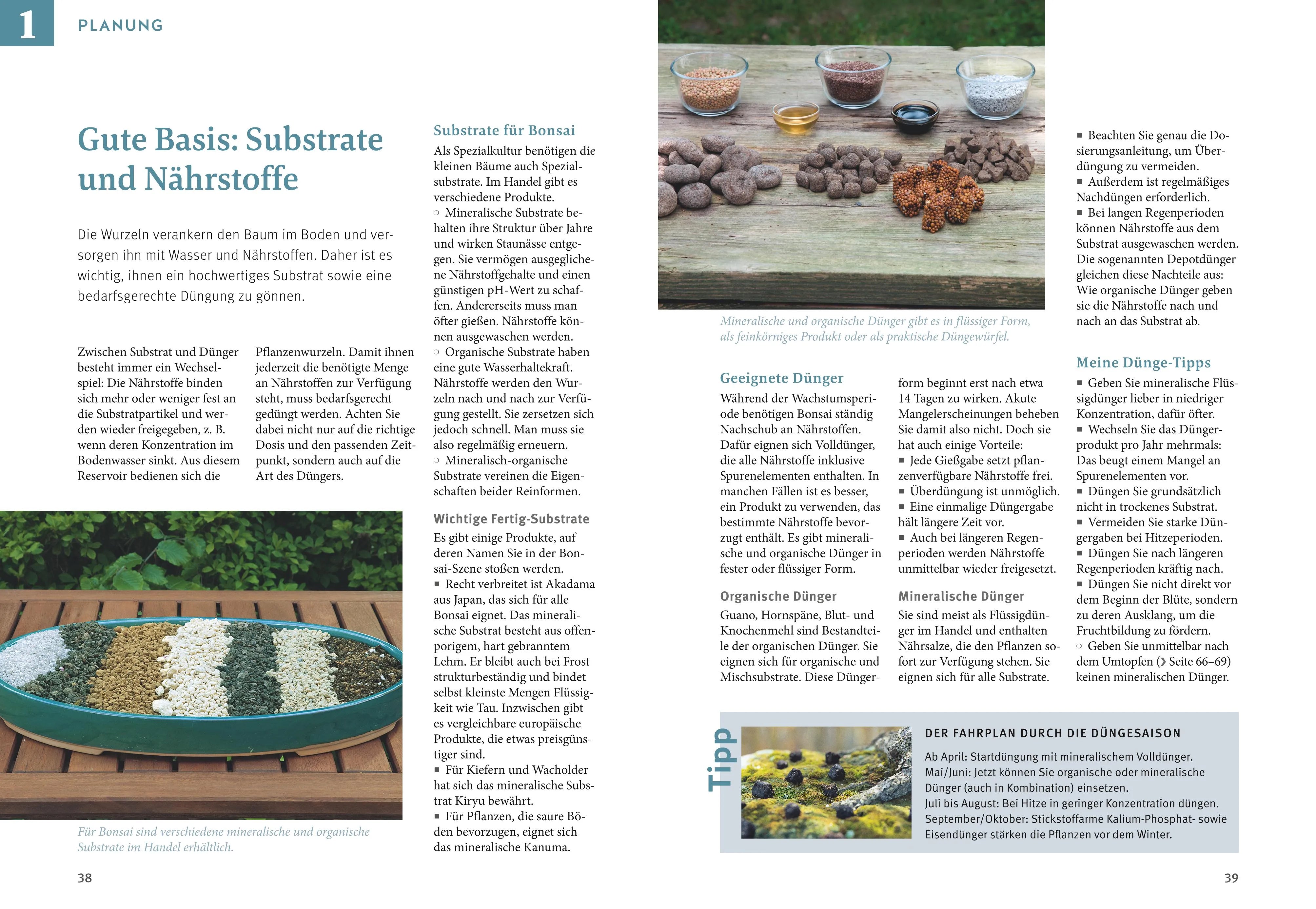 Produktansicht: Bonsai ziehen, gestalten und pflegen (Gebundene Ausgabe)
