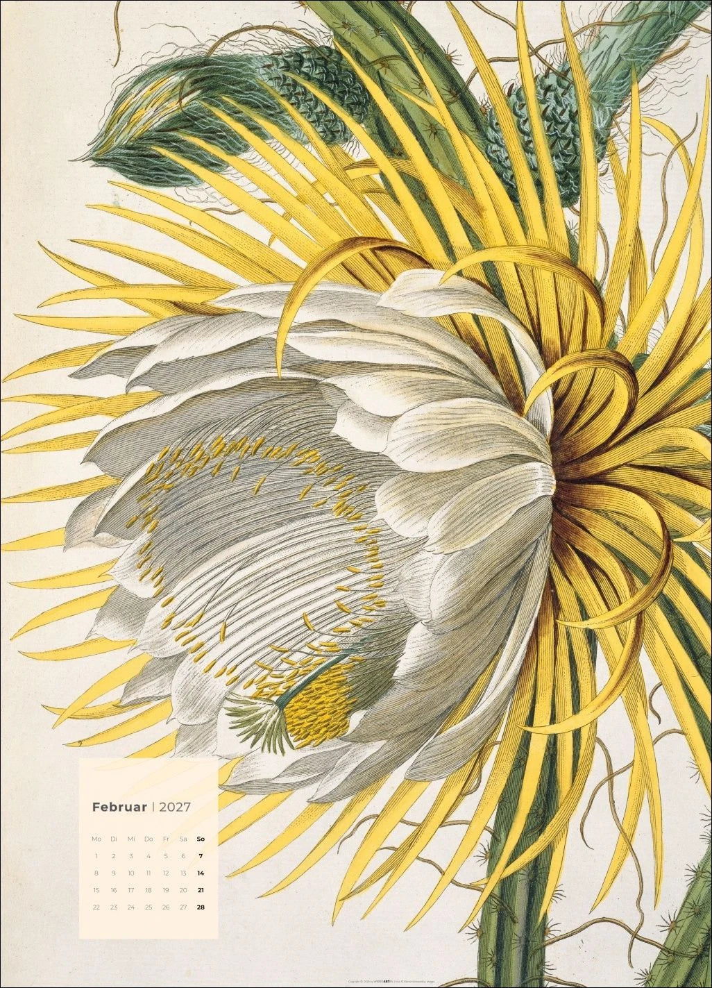 Botanicals Kalender 2027 – Ansicht