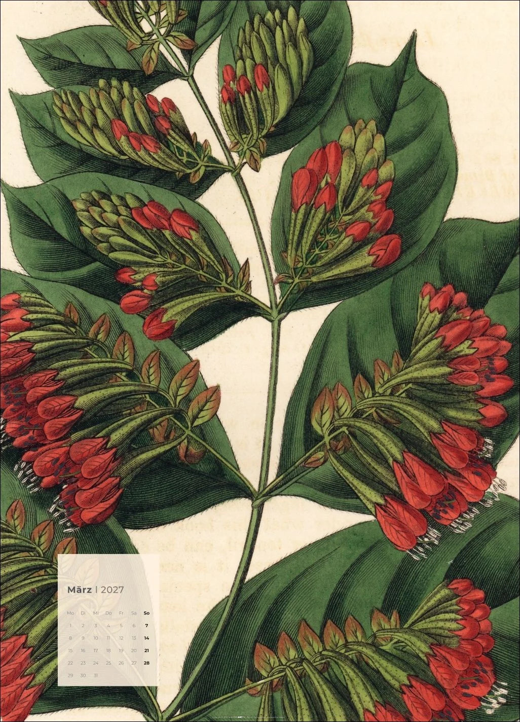 Botanicals Kalender 2027 – Ansicht