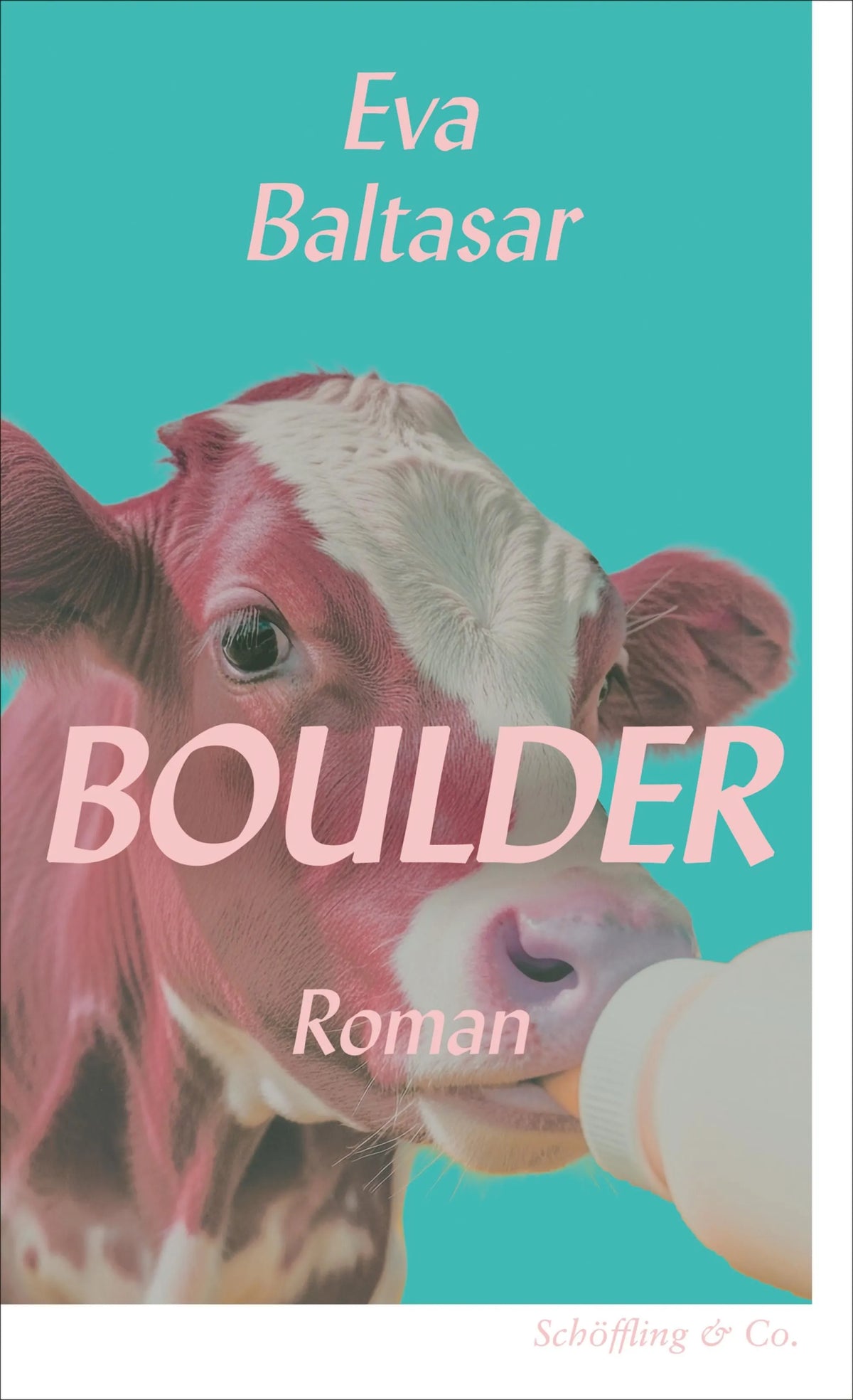 Cover: Boulder (E-Book) von Eva Baltasar