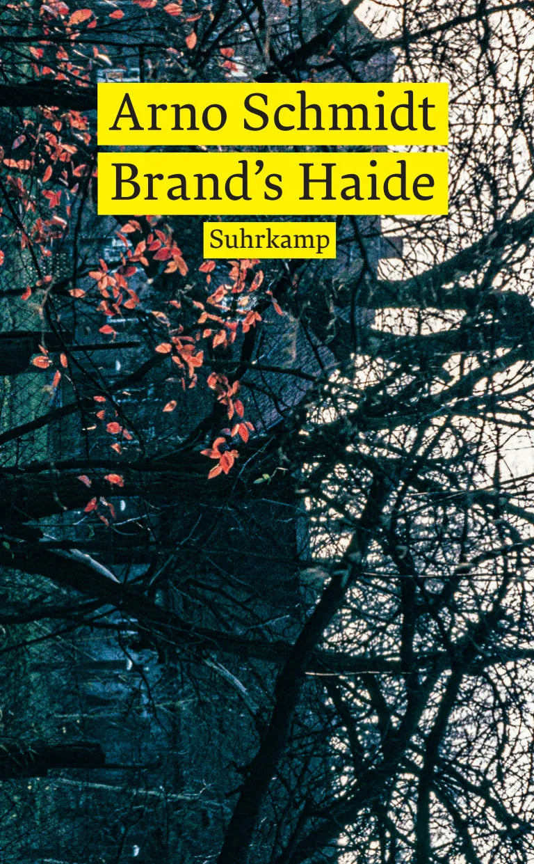 Buchcover von 'Brand’s Haide' - Taschenbuch von Arno Schmidt