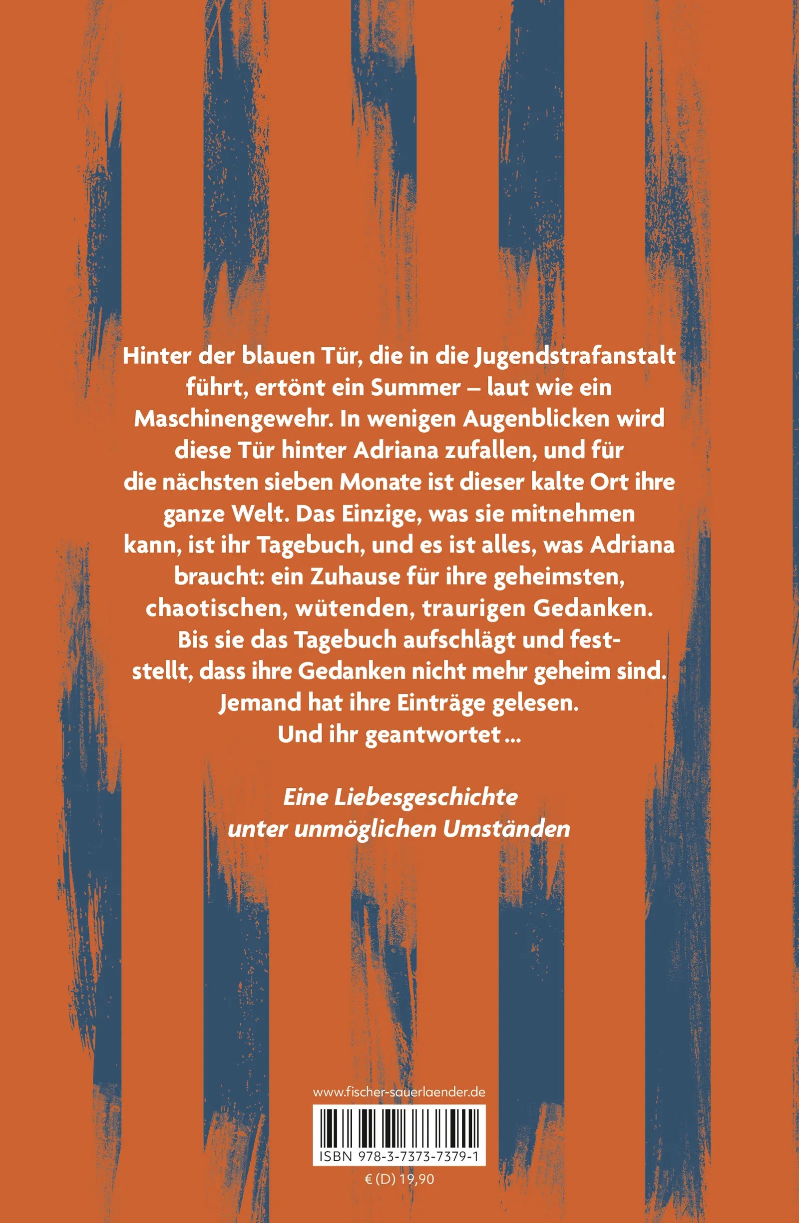 Buchrückseite von 'Break to You' mit Klappentext - Gebundene Ausgabe