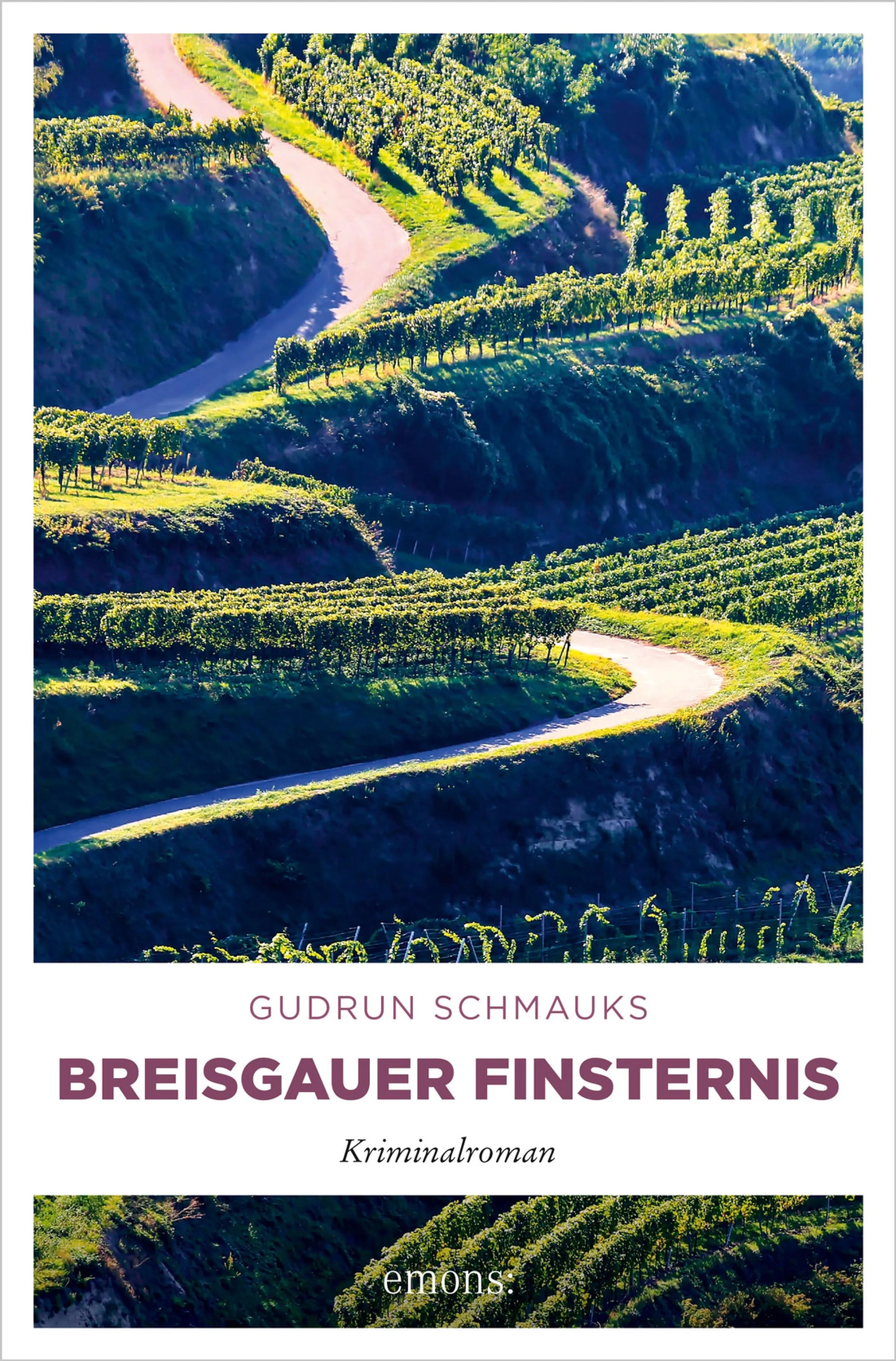 Cover: Breisgauer Finsternis (E-Book) von Gudrun Schmauks