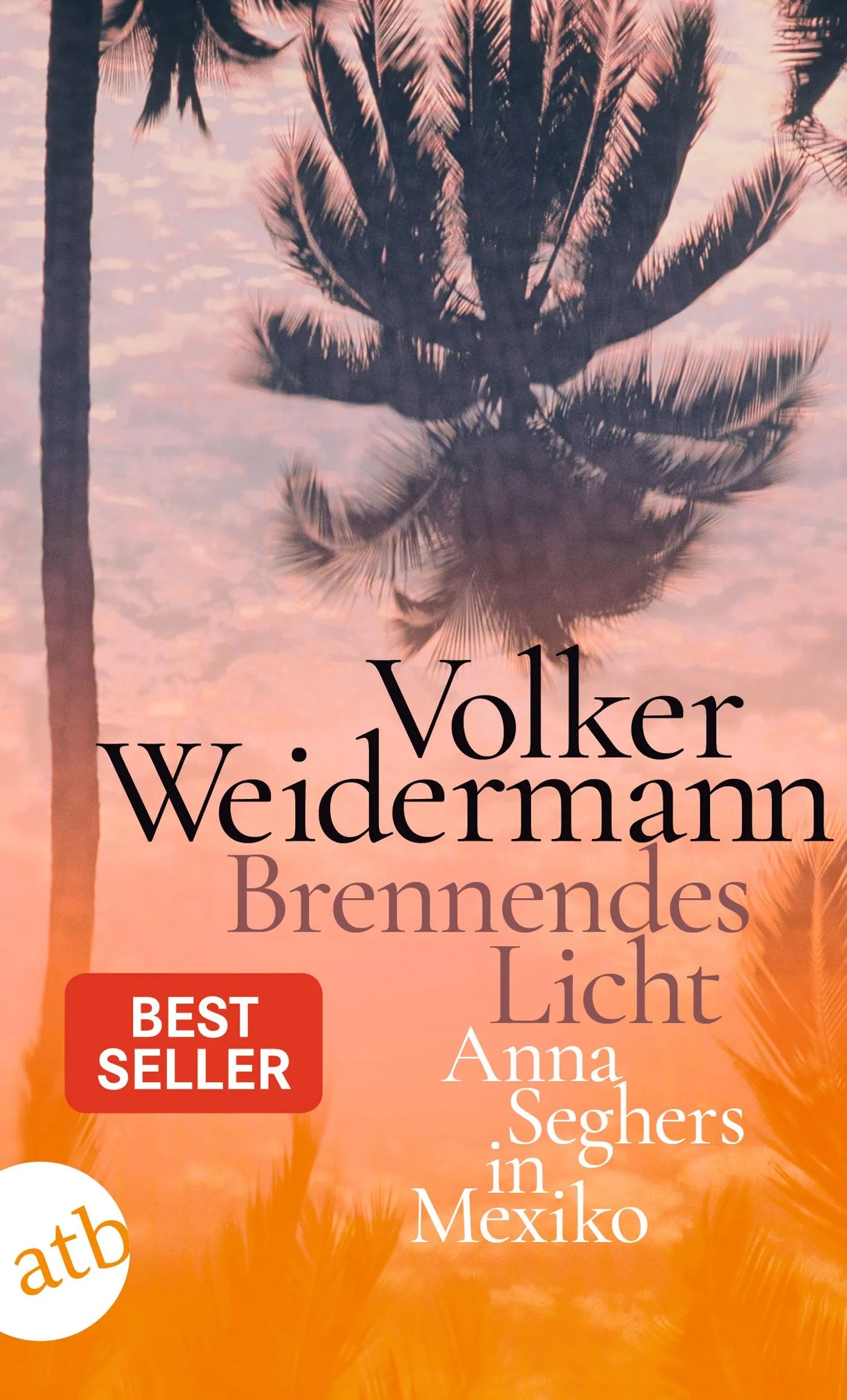 Buchcover von 'Brennendes Licht' - Taschenbuch von Volker Weidermann