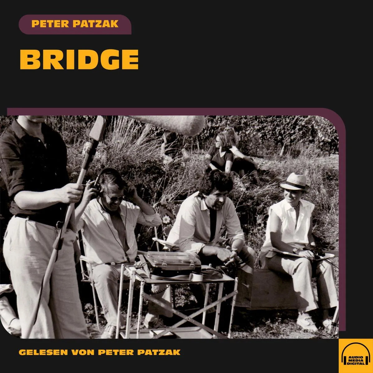 Cover: Bridge (Hörbuch Download) von Peter Patzak