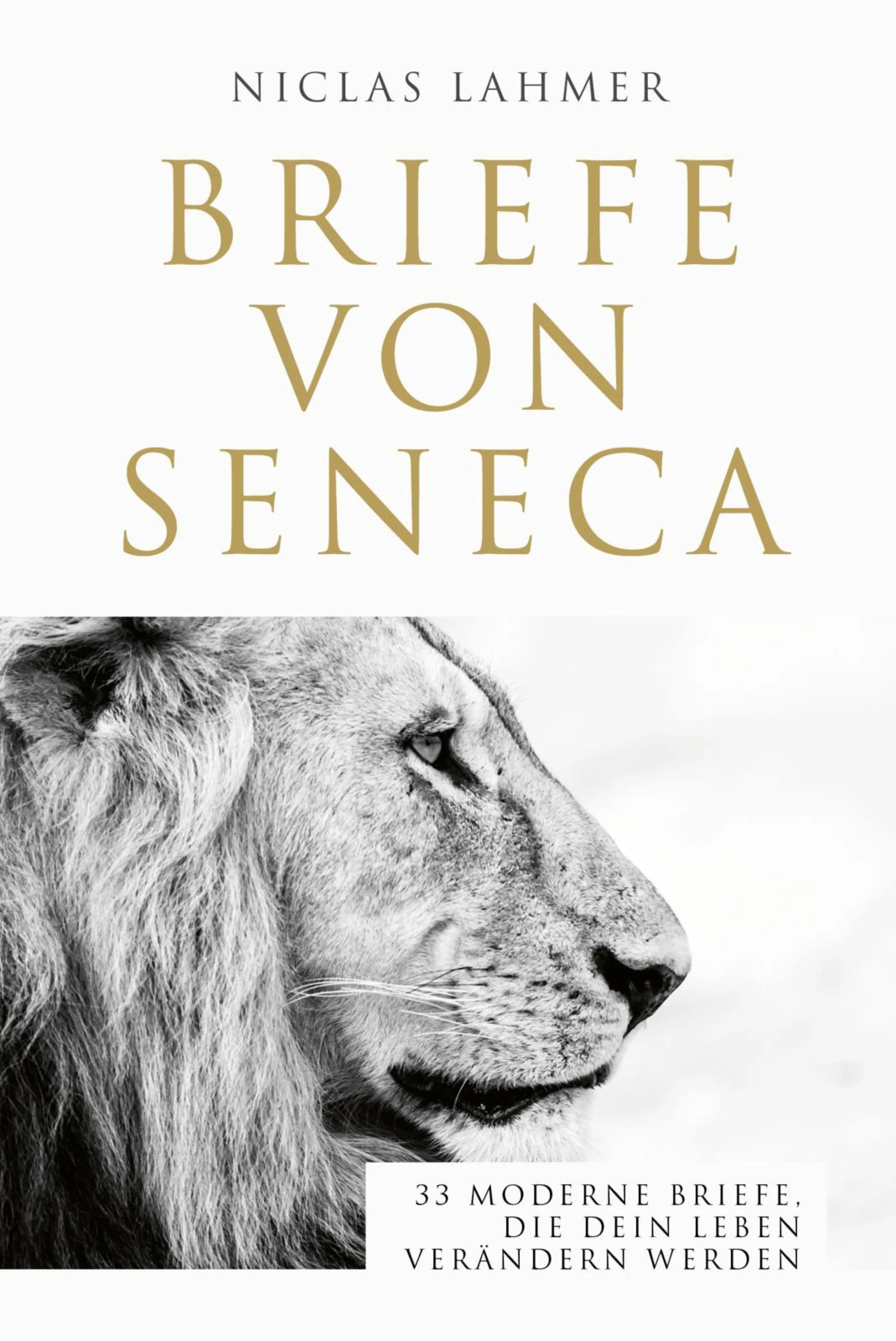 Cover: Briefe von Seneca (E-Book) von Niclas Lahmer