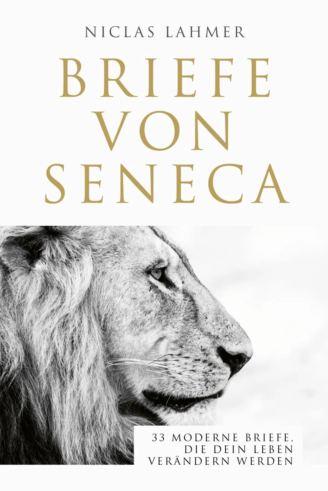 Buchcover von 'Briefe von Seneca' - Gebundene Ausgabe von Niclas Lahmer