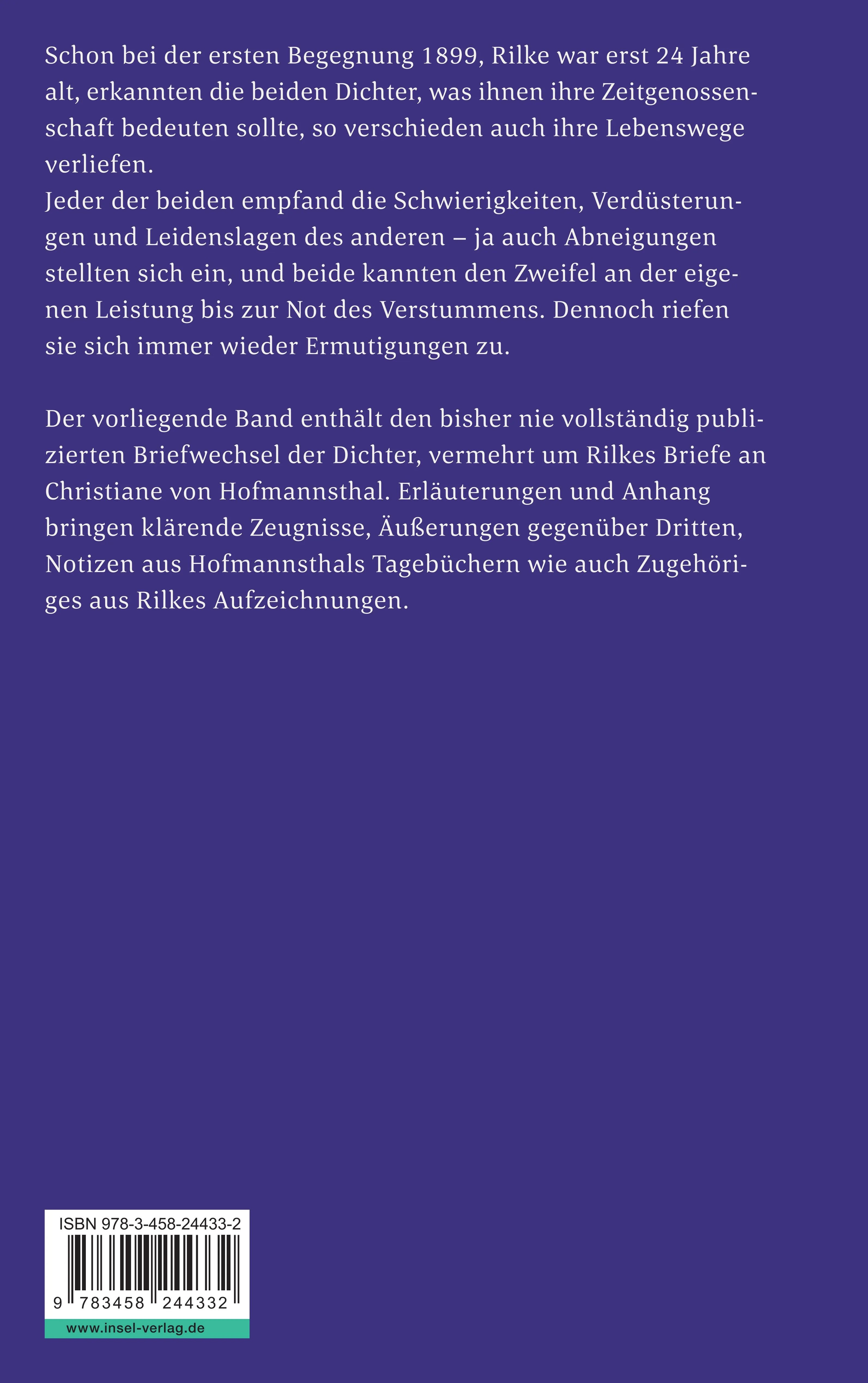 Buchrückseite von 'Briefwechsel 1899-1925' mit Klappentext - Taschenbuch