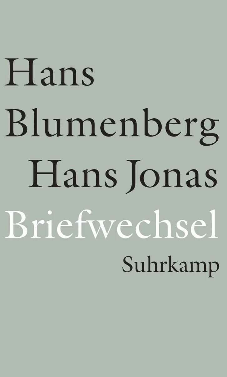 Buchcover von 'Briefwechsel 1954-1978 und weitere Materialien' - Gebundene Ausgabe von Hans Blumenberg