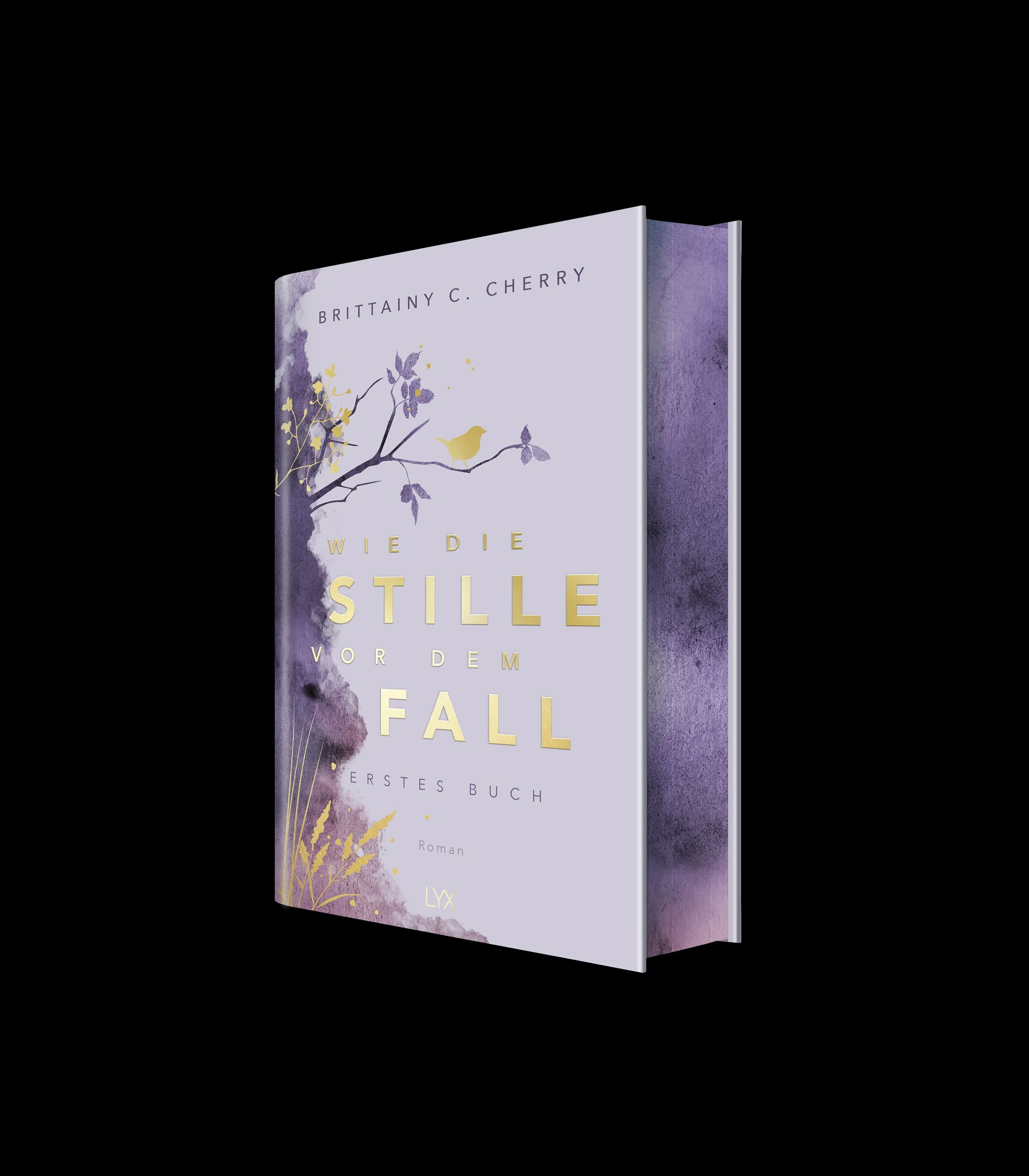 Produktansicht: Wie die Stille vor dem Fall. Erstes Buch: Special Edition (Gebundene Ausgabe)