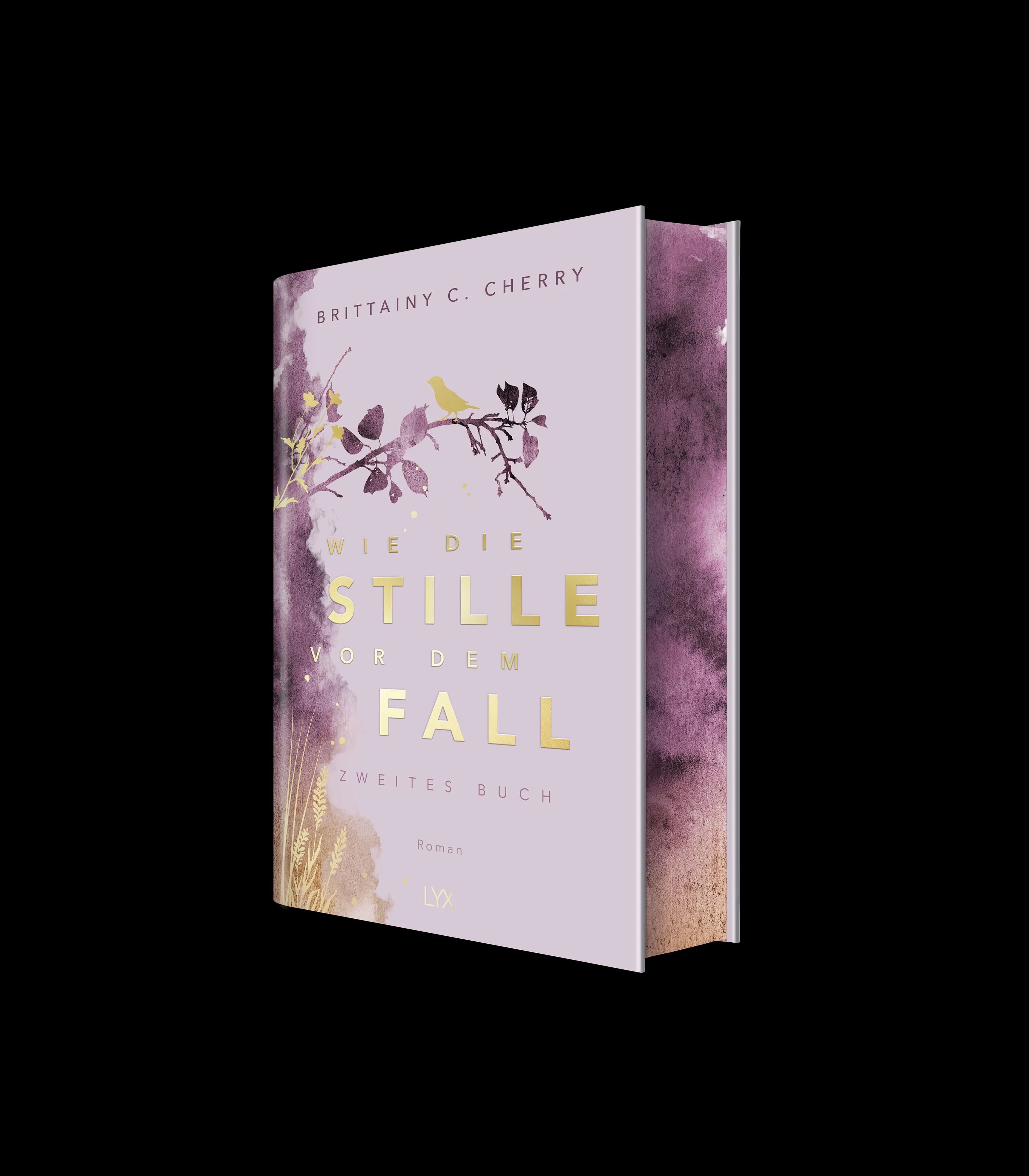 Produktansicht: Wie die Stille vor dem Fall. Zweites Buch: Special Edition (Gebundene Ausgabe)