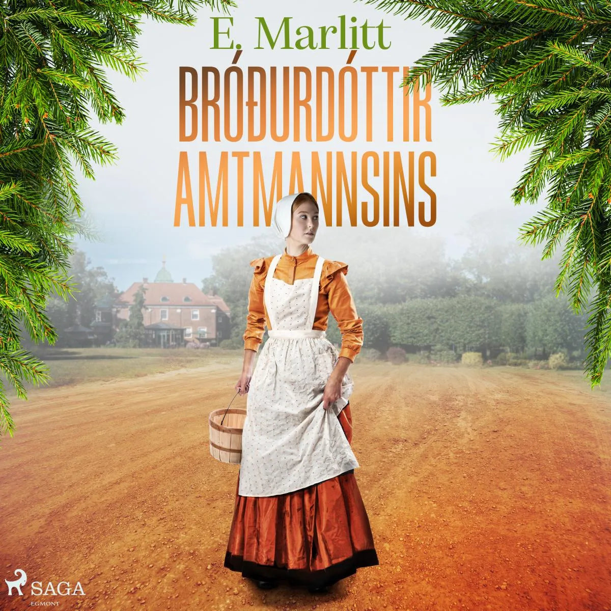 Cover: Bróðurdóttir amtmannsins (Hörbuch Download) von E. Marlitt