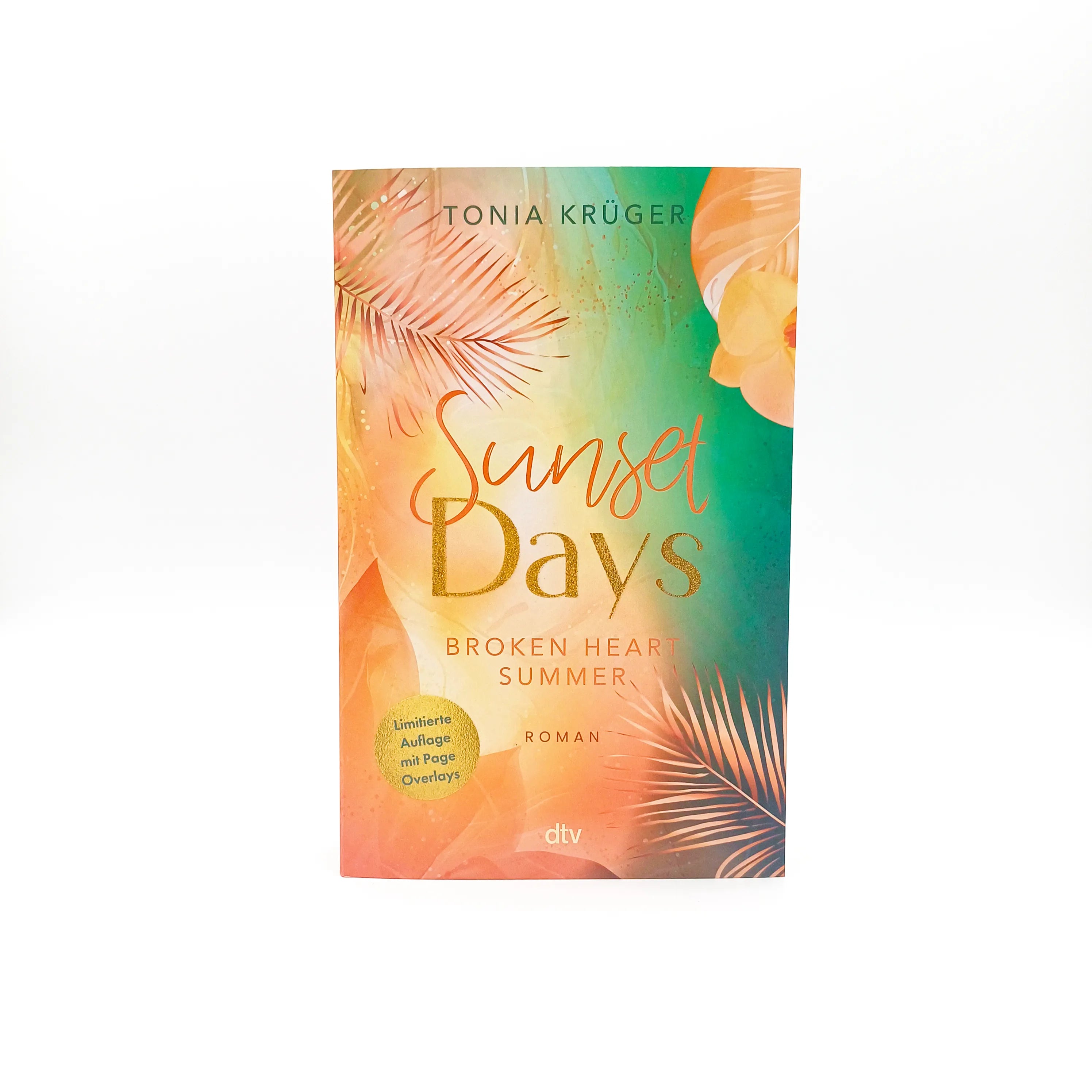 Abbildung von 'Broken Heart Summer – Sunset Days'