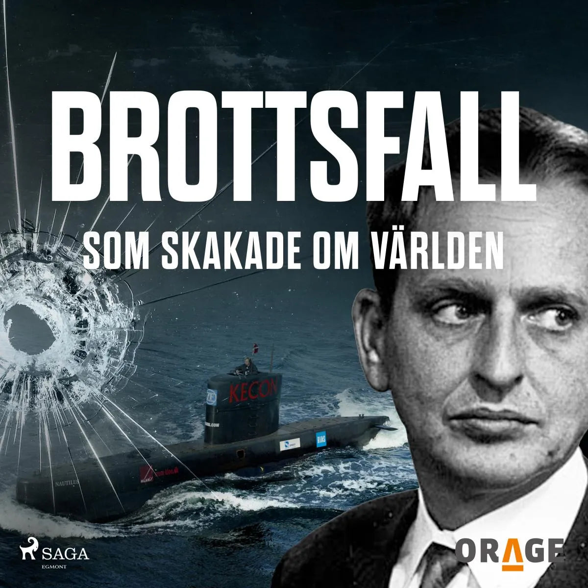 Cover: Brottsfall som skakade om världen (Hörbuch Download) von Orage