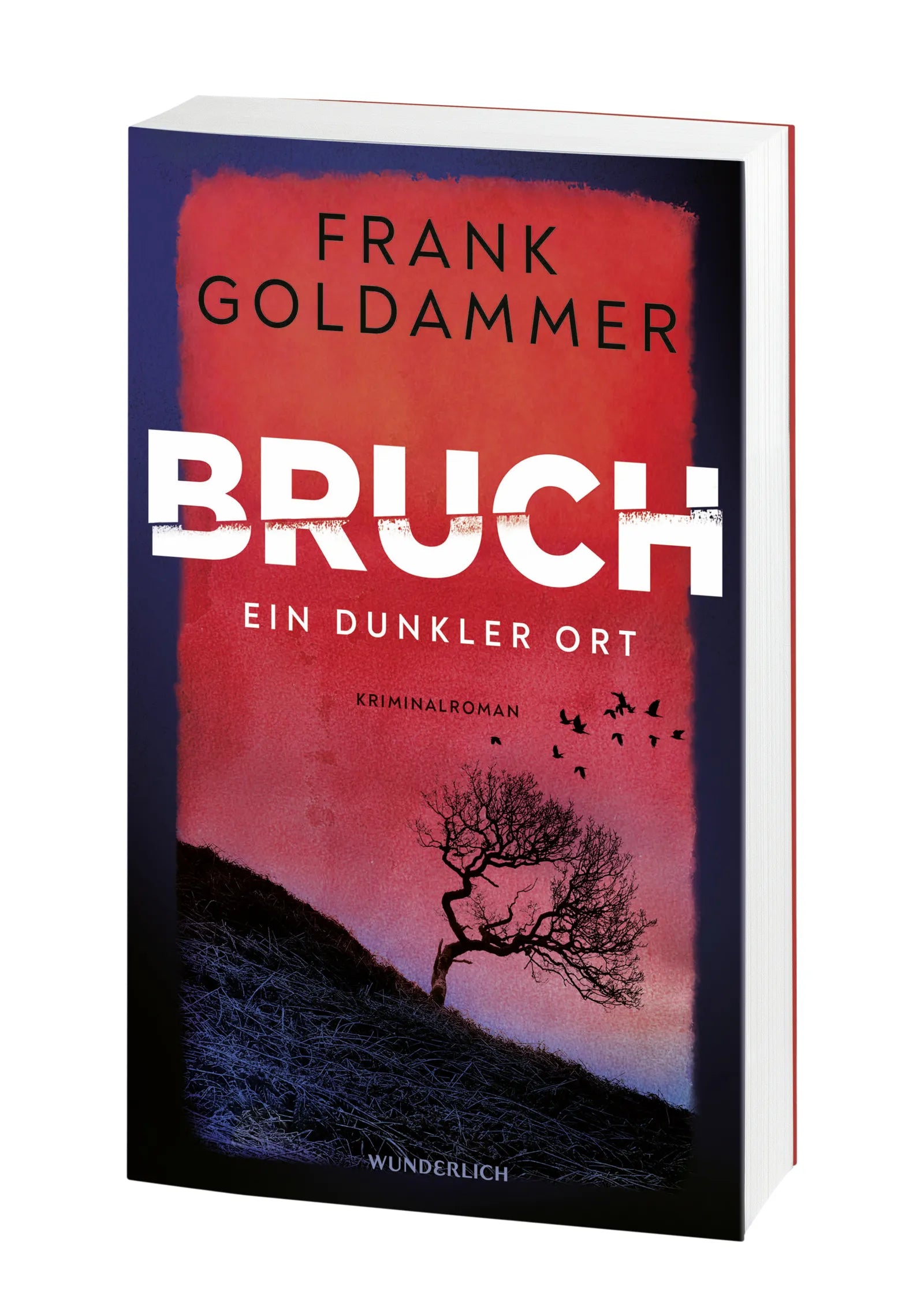 Frank Goldammer - Bruch: Ein dunkler Ort