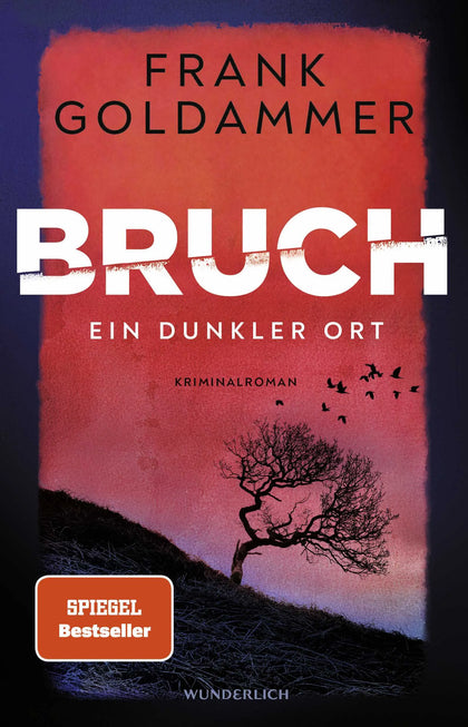 Buchcover von 'Bruch: Ein dunkler Ort' - Paperback von Frank Goldammer