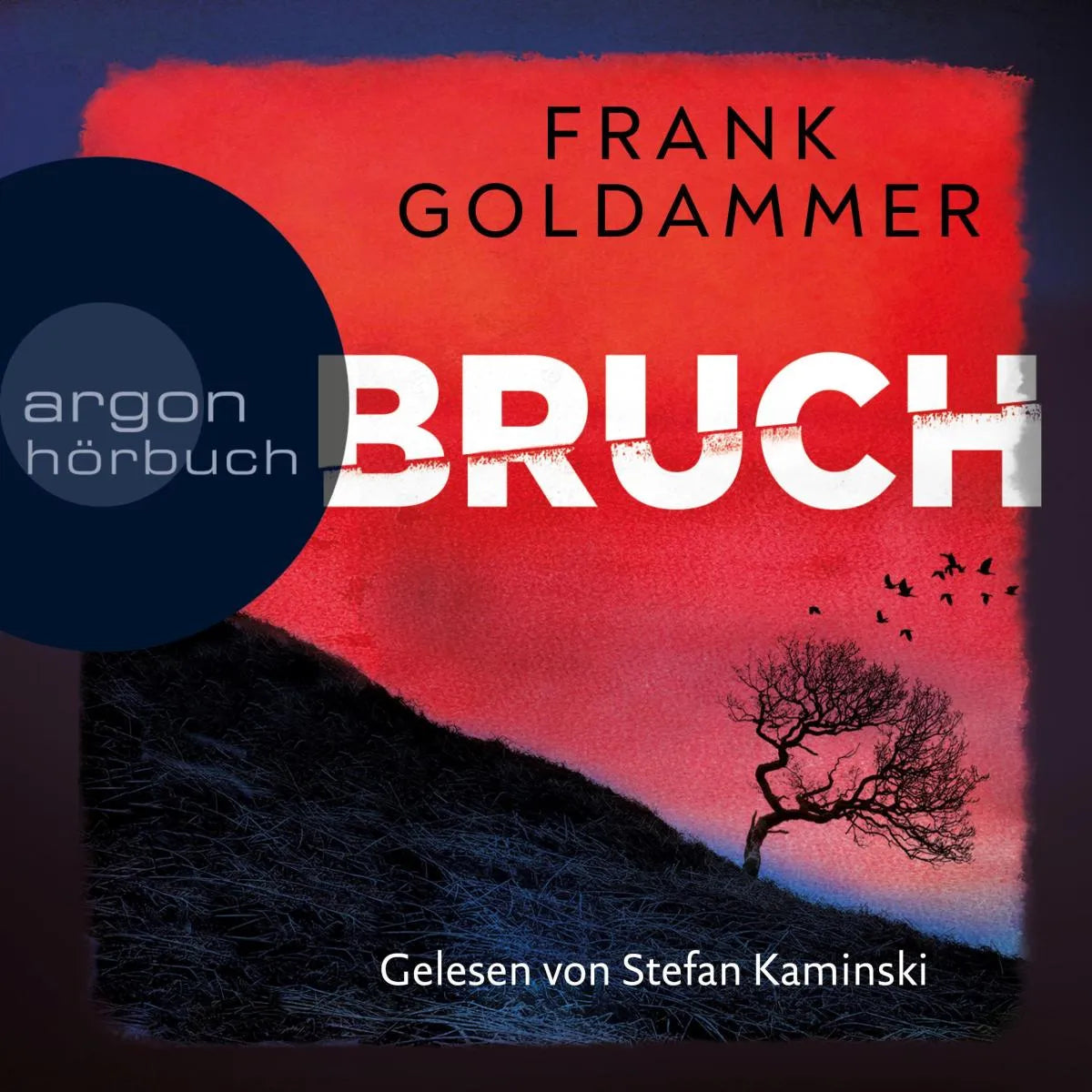 Cover: Bruch - Ein dunkler Ort (Hörbuch Download) von Frank Goldammer