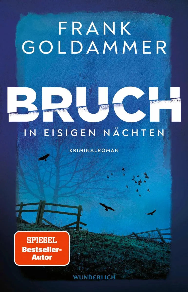 Cover: Bruch: In eisigen Nächten (E-Book) von Frank Goldammer