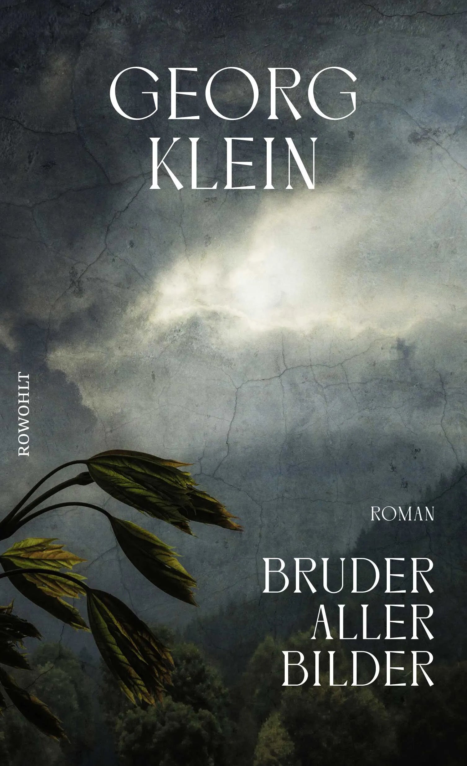 Buchcover von 'Bruder aller Bilder' - Gebundene Ausgabe von Georg Klein
