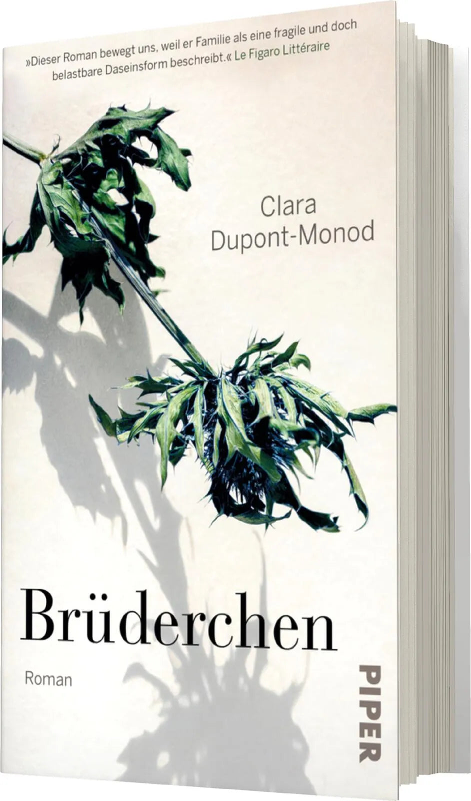 Clara Dupont-Monod - Brüderchen