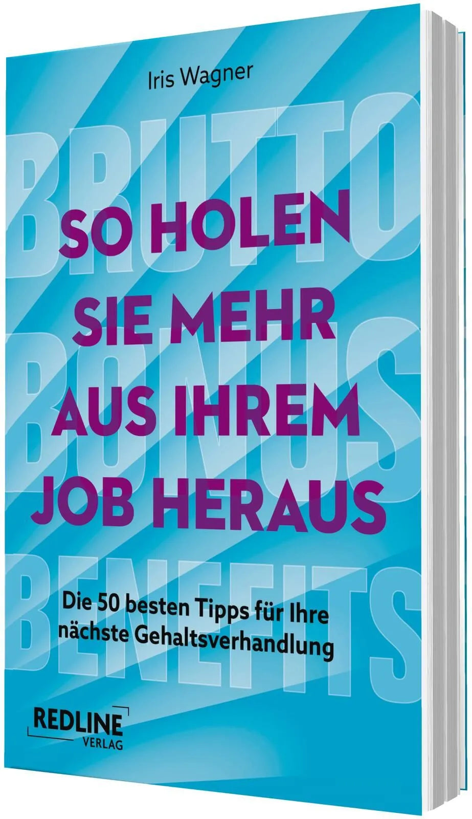 Detailansicht: Brutto, Bonus, Benefits – So holen Sie mehr aus Ihrem Job heraus (Taschenbuch)