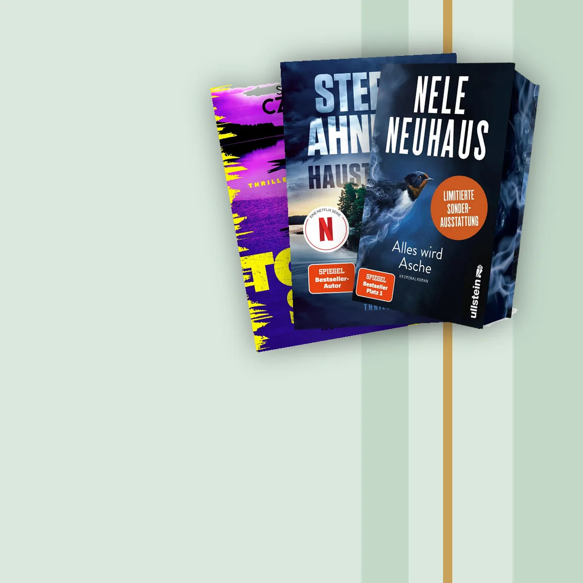 Buch-Kompass: von der CineBuch-Redaktion gelesene Bücher – Nele Neuhaus Alles wird Asche, Haustausch, Totensee