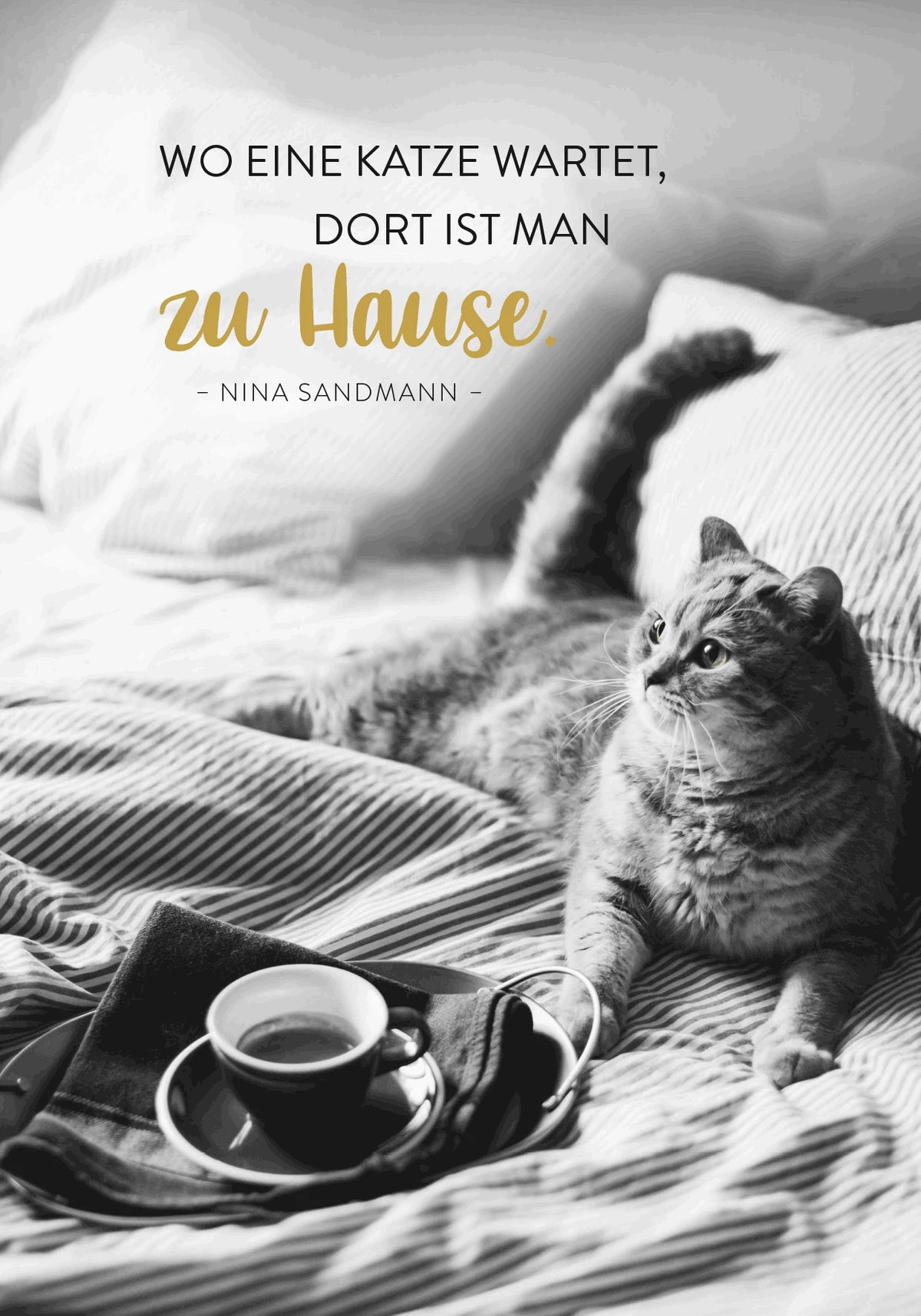 Buchkalender 2027: Für Katzenfreunde – Ansicht