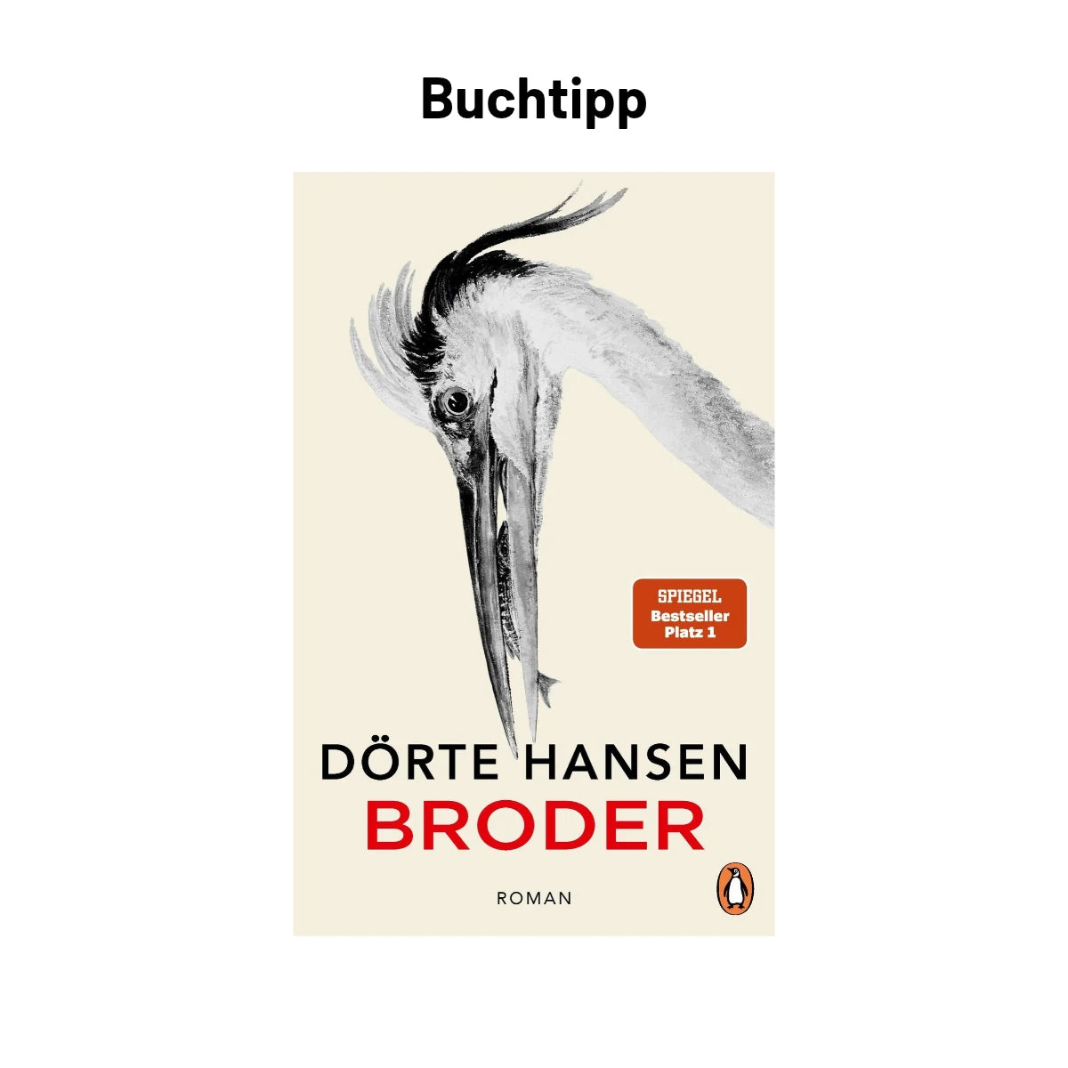 Buchtipp: Broder von Dörte Hansen – Roman, SPIEGEL-Bestseller