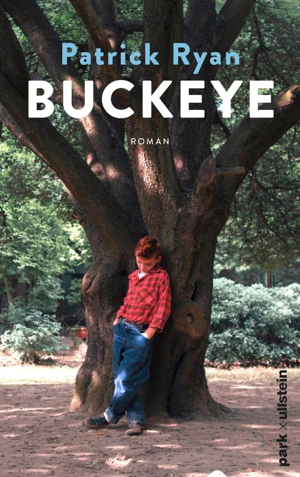 Cover: Buckeye (Hardcover) von Patrick Ryan