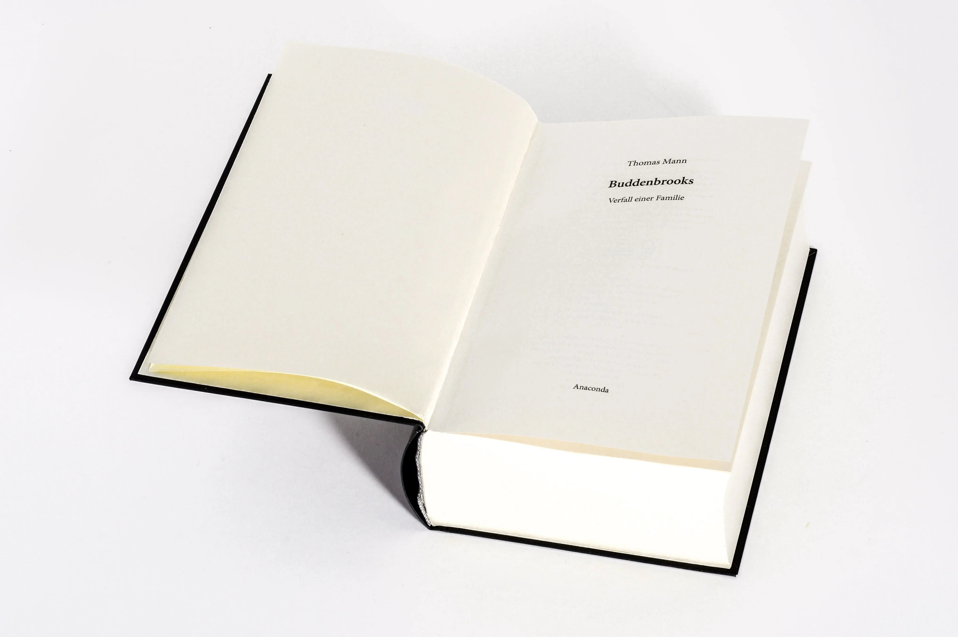 Detailansicht: Buddenbrooks. Verfall einer Familie. Roman (Hardcover)