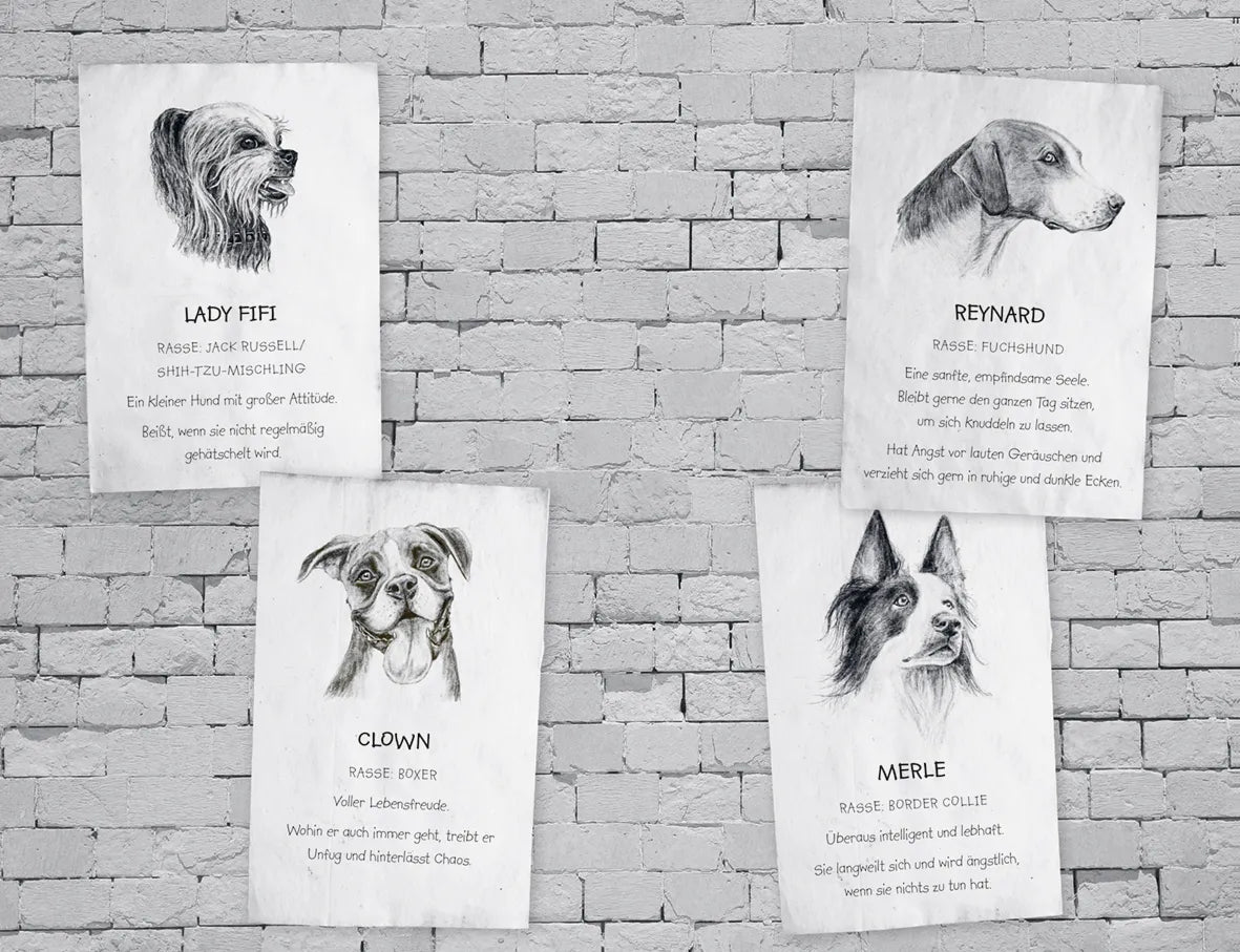 Produktansicht: Buddy – Mein Leben als Straßenhund (Gebundene Ausgabe)