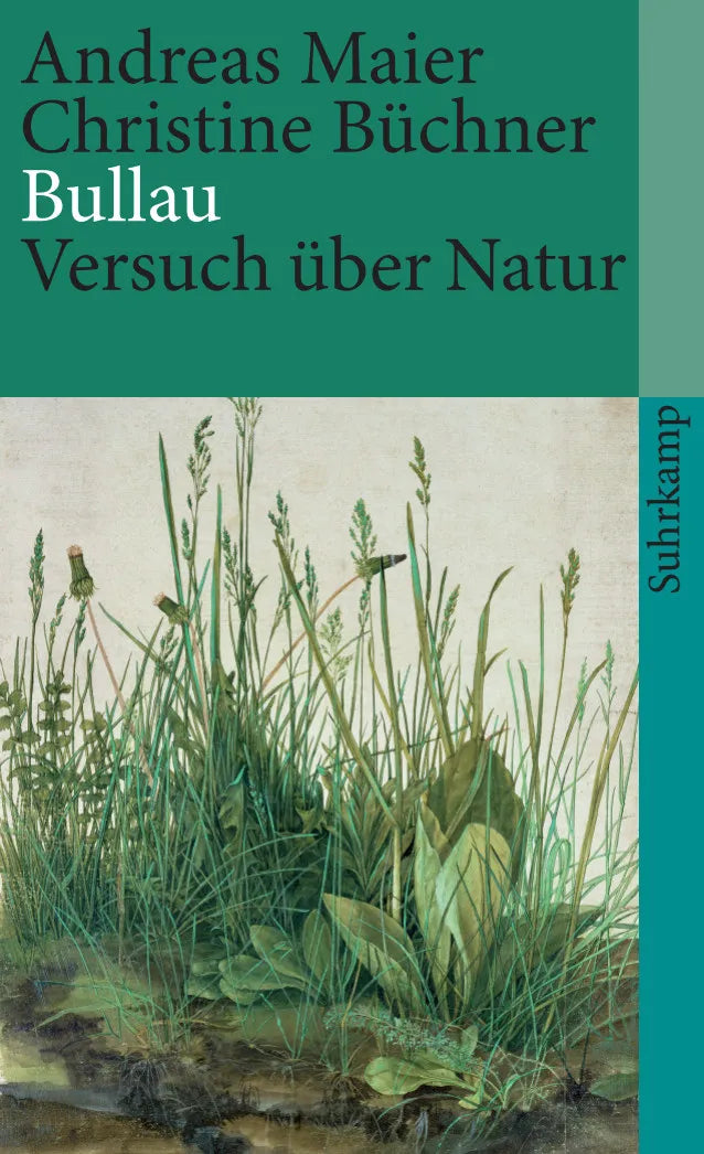 Buchcover von 'Bullau' - Taschenbuch von Andreas Maier