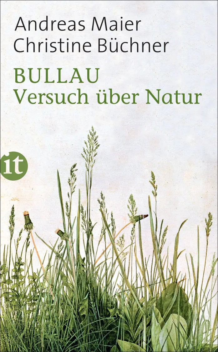 Buchcover von 'Bullau' - Taschenbuch von Andreas Maier