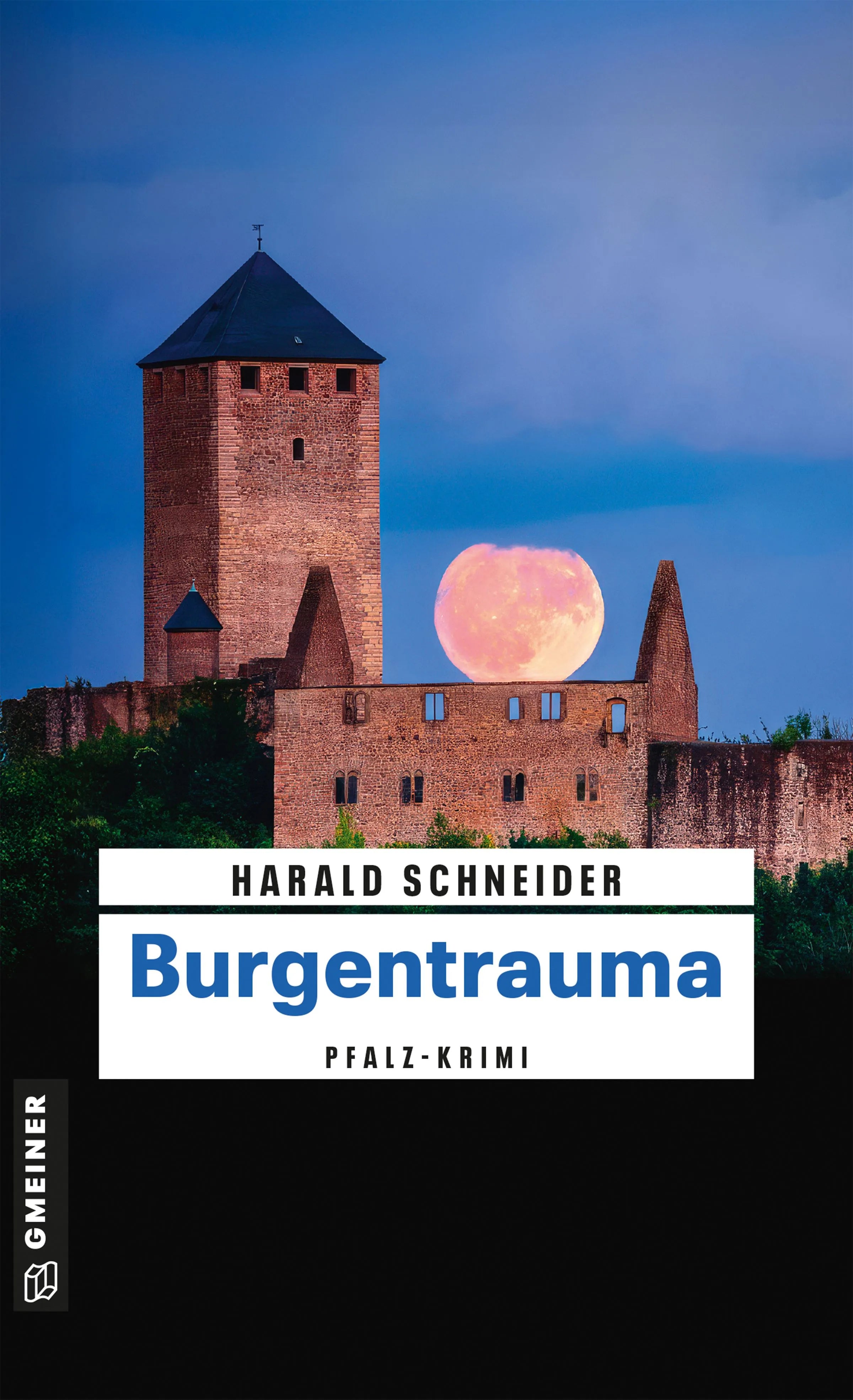 Cover: Burgentrauma (E-Book) von Harald Schneider
