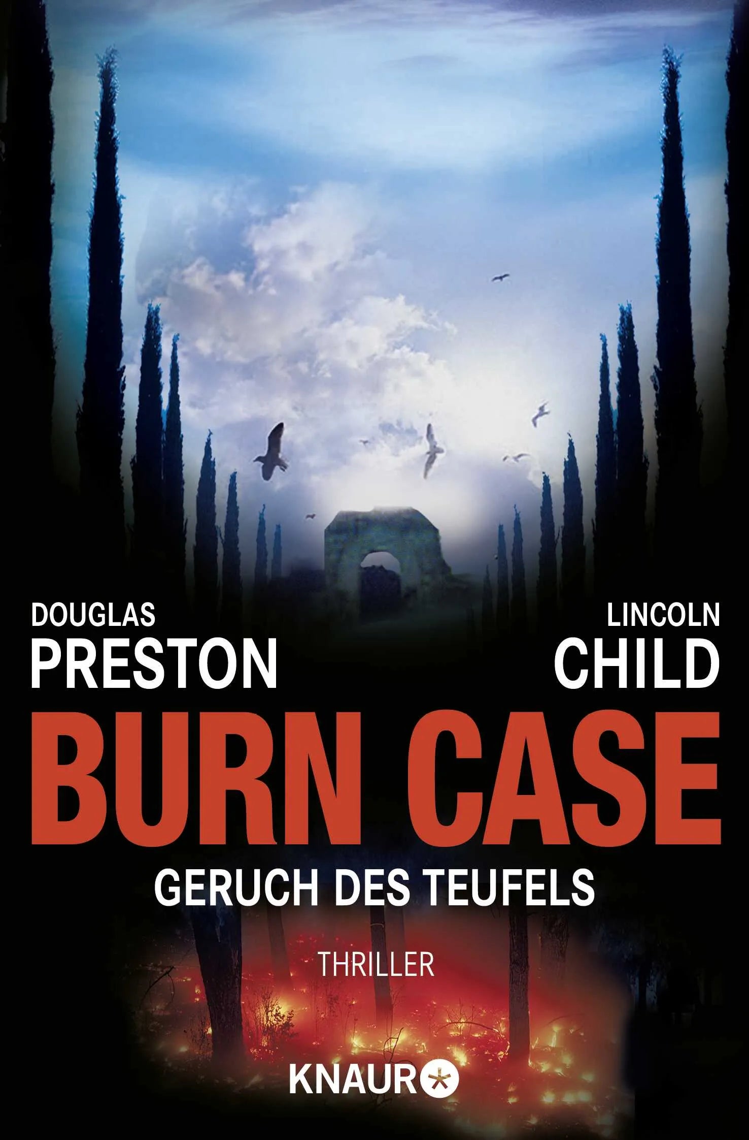 Buchcover von 'Burn Case' - Taschenbuch von Douglas Preston